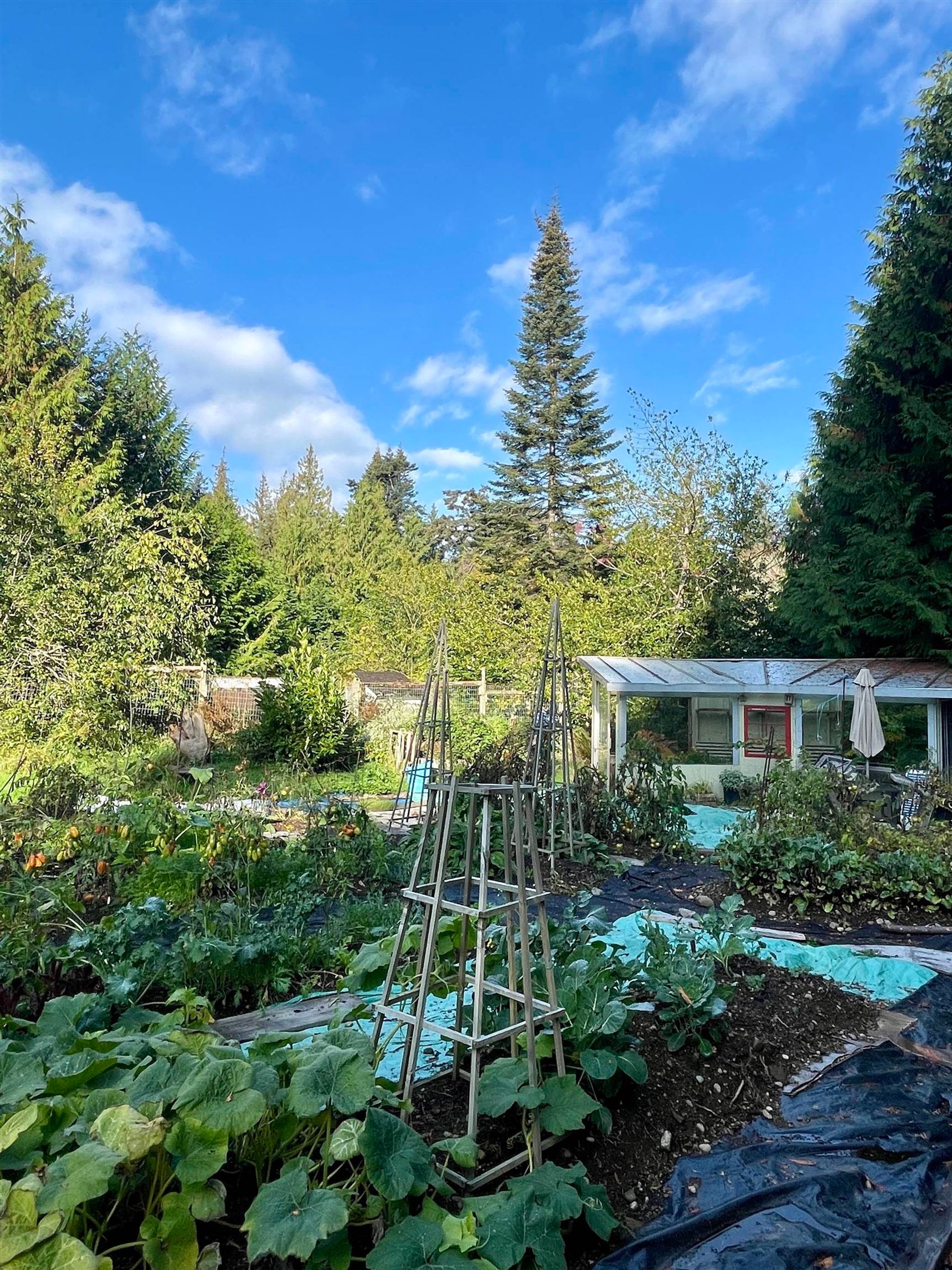 Photo 9 at 650 Tumbo Channel Road, Saturna Island, Islands-Van. & Gulf Photo 9 at 650 Tumbo Channel Road, Saturna Island, Islands-Van. & Gulf