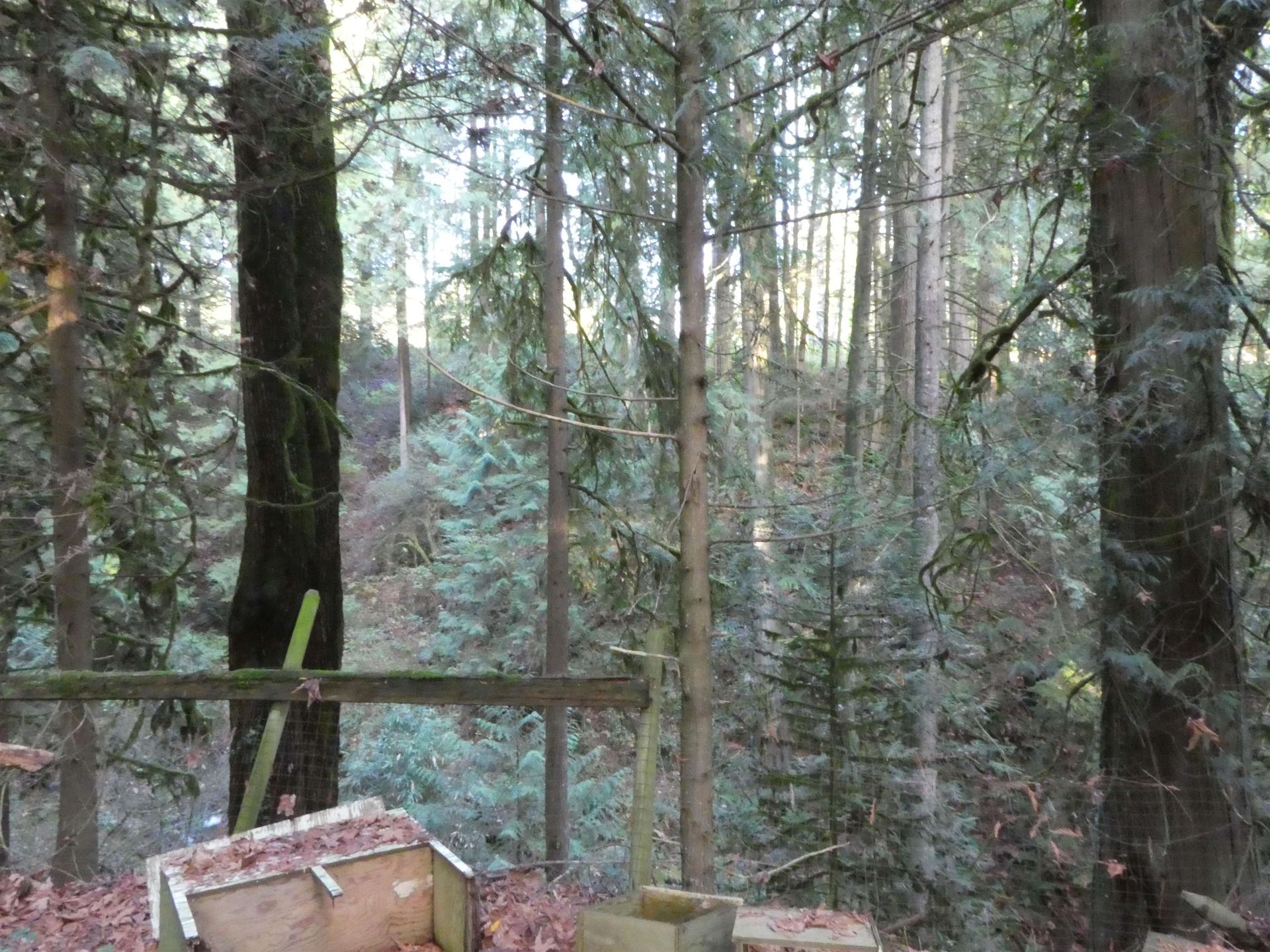 Photo 4 at  Photo 4 at