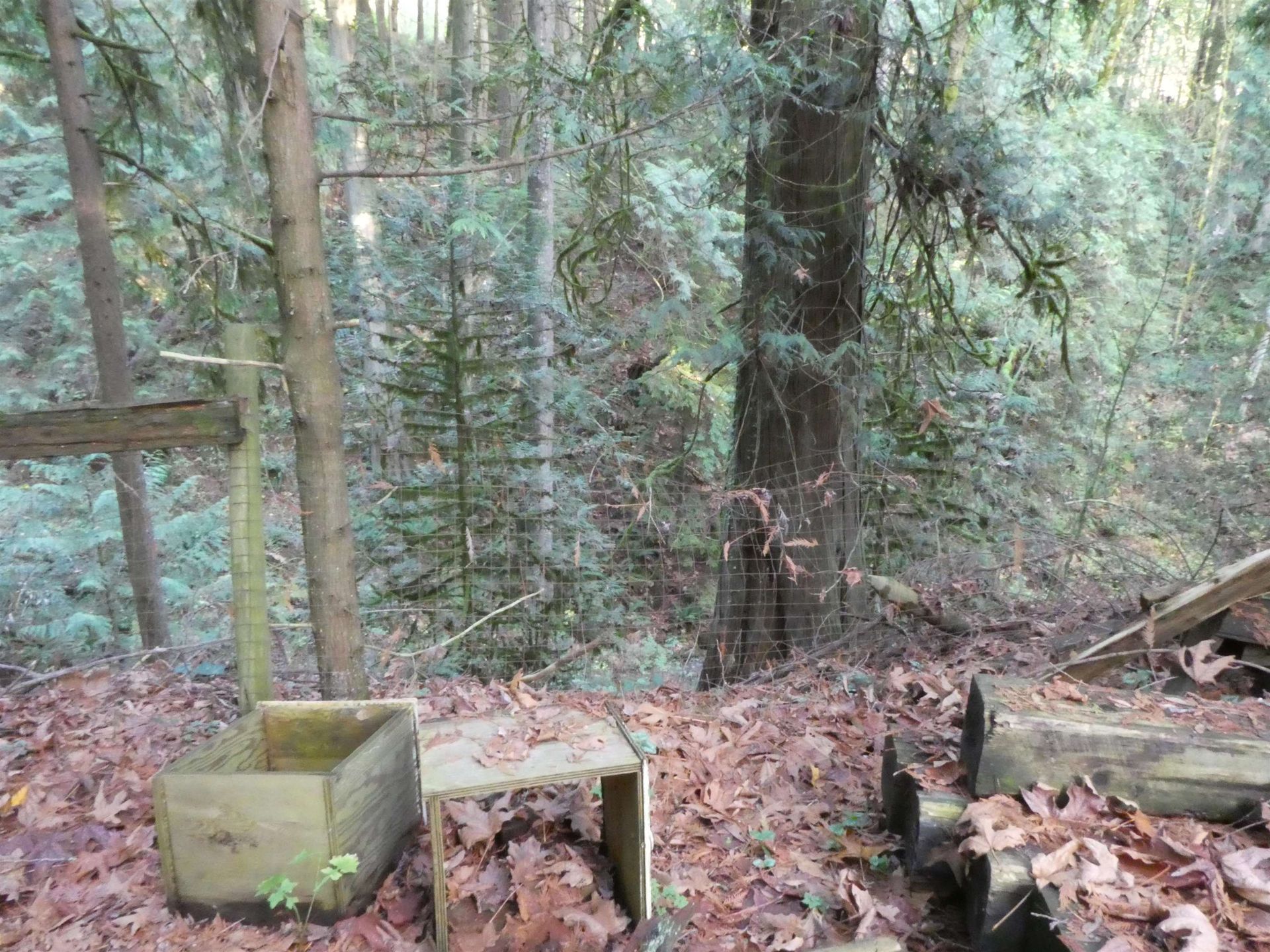 Photo 5 at  Photo 5 at