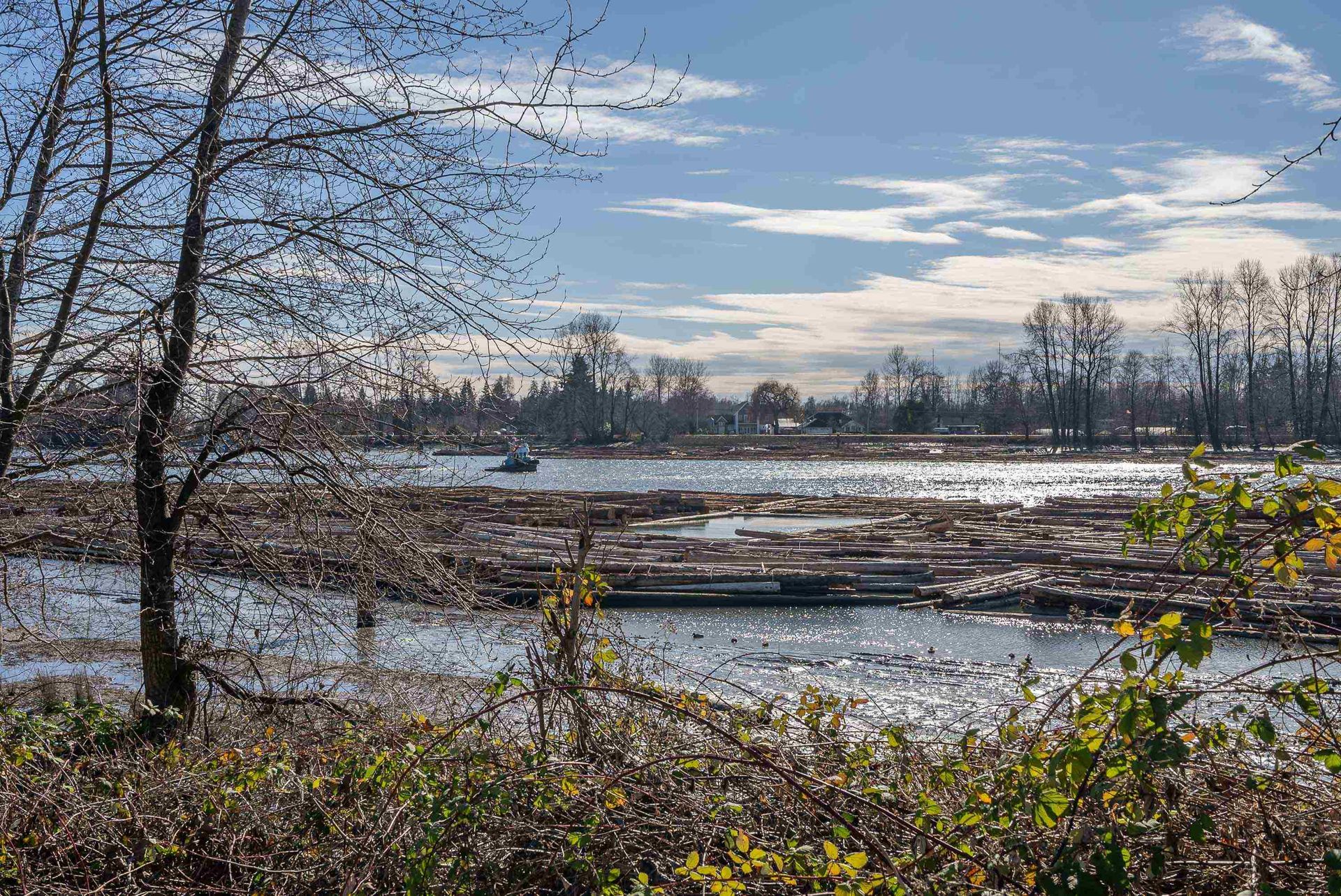 Photo 23 at 8985 Fraserwood Court, Big Bend, Burnaby South Photo 23 at 8985 Fraserwood Court, Big Bend, Burnaby South