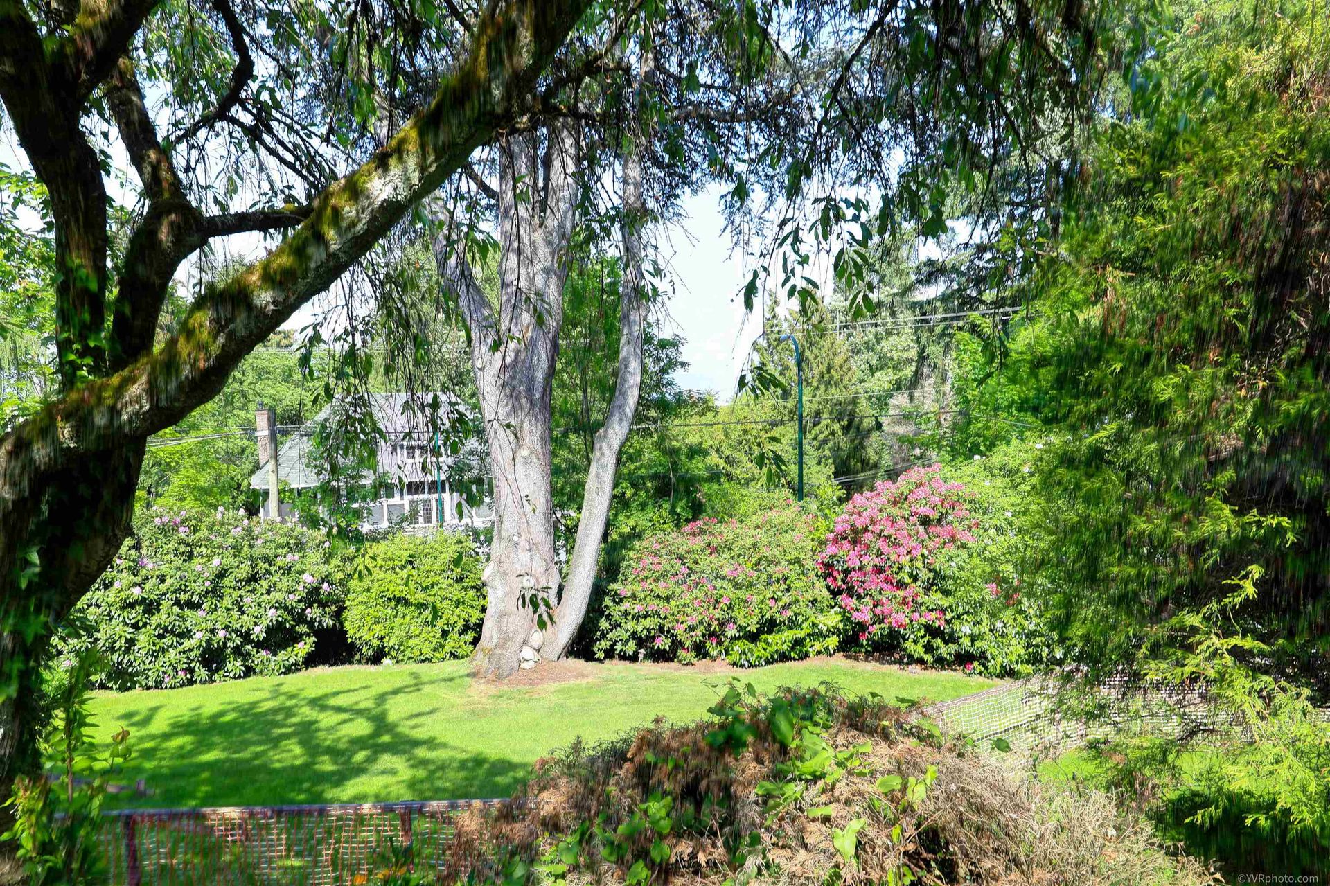 Photo 32 at 1080 Wolfe Avenue, Shaughnessy, Vancouver West Photo 32 at 1080 Wolfe Avenue, Shaughnessy, Vancouver West