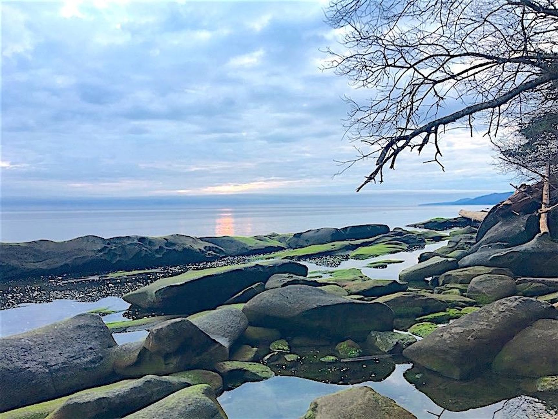 Lot 2 Bodega Beach Drive, Galiano Island, Islands-Van. & Gulf  by Brian Rhys | REALTOR® - Royal LePage Sussex Lot 2 Bodega Beach Drive, Galiano Island, Islands-Van. & Gulf