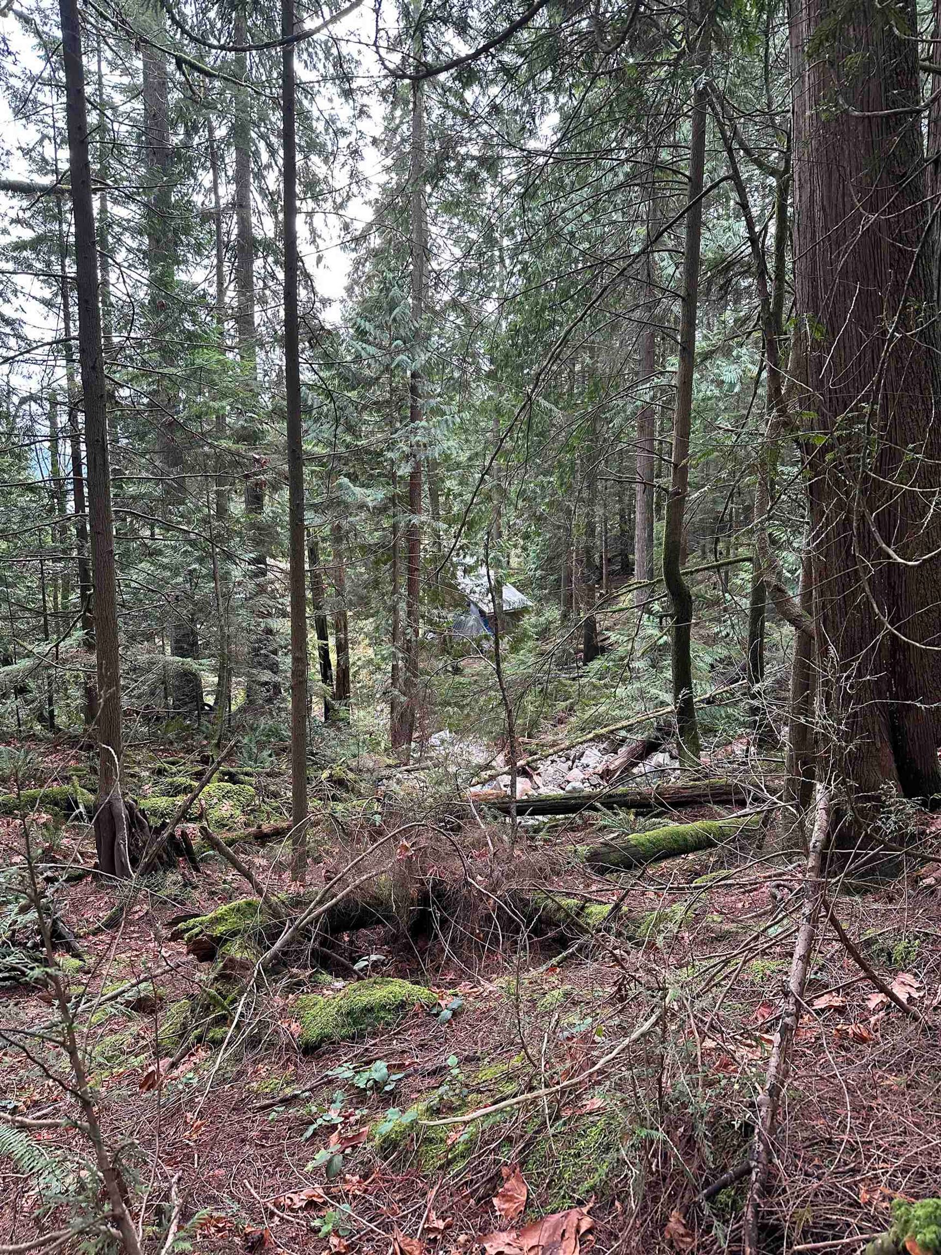Photo 13 at Lot 2 Indian River Drive, Indian River, North Vancouver Photo 13 at Lot 2 Indian River Drive, Indian River, North Vancouver