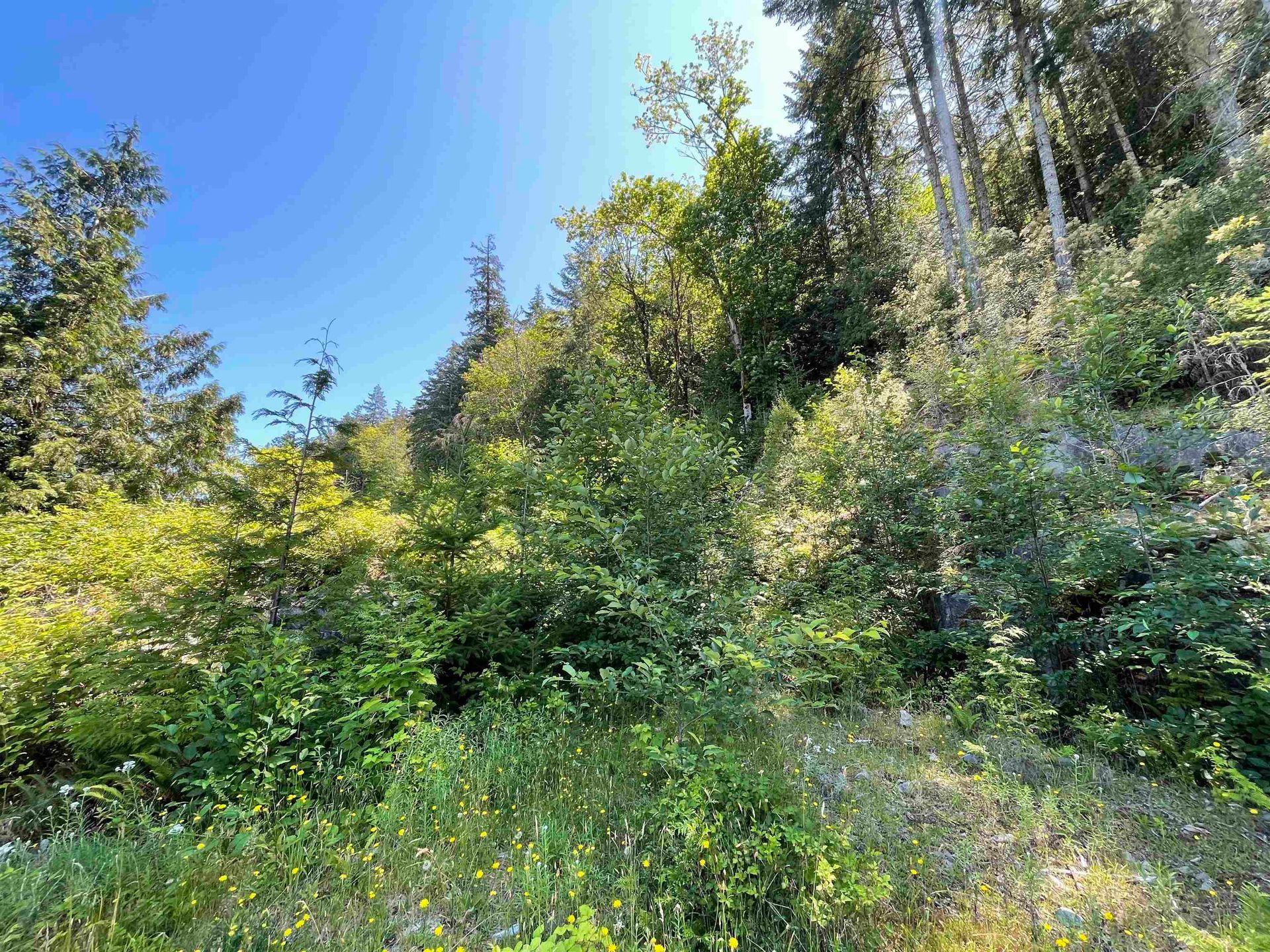 Photo 6 at 5232 Cecil Hill Road, Pender Harbour Egmont, Sunshine Coast Photo 6 at 5232 Cecil Hill Road, Pender Harbour Egmont, Sunshine Coast