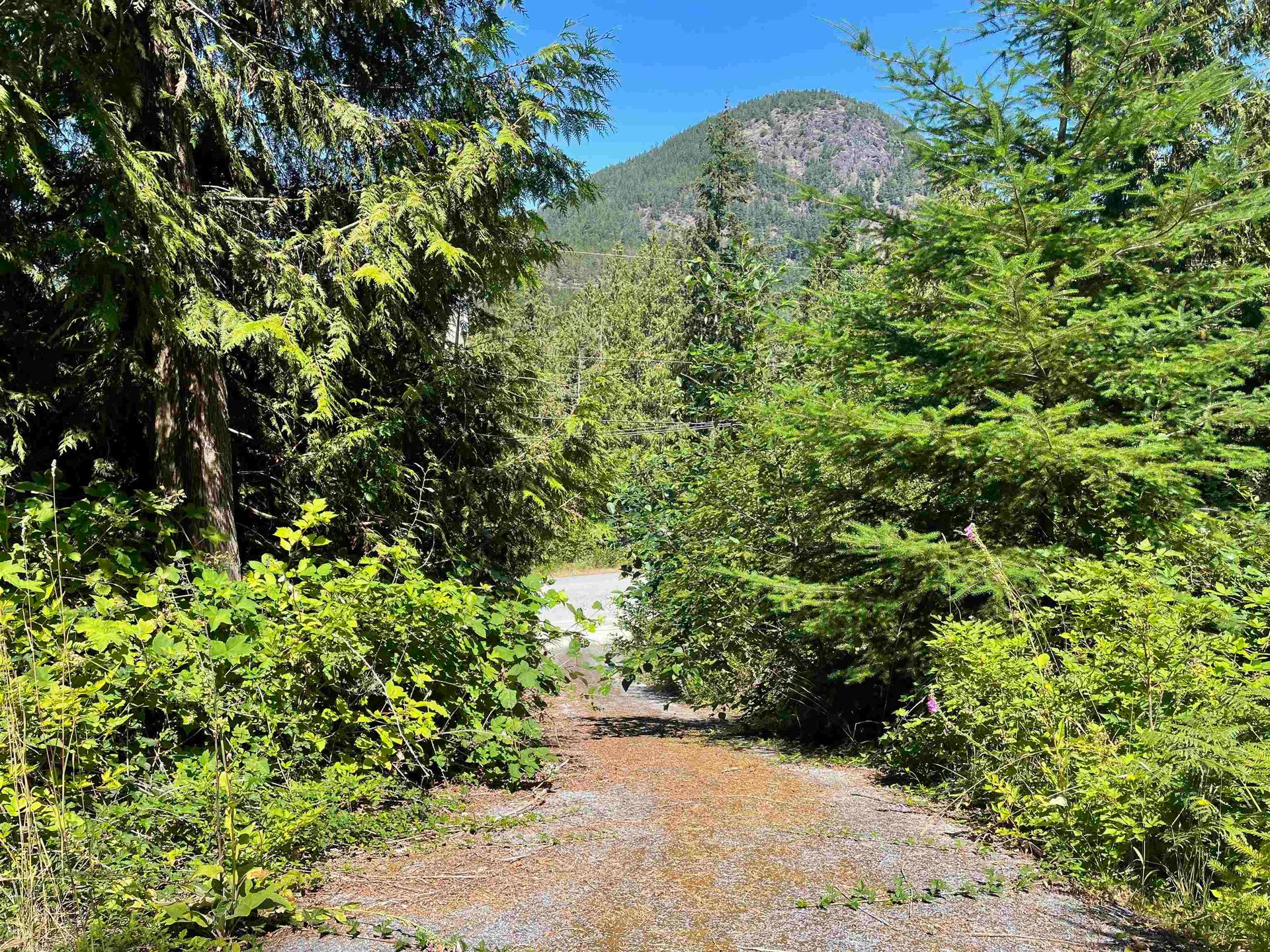 Photo 10 at 5232 Cecil Hill Road, Pender Harbour Egmont, Sunshine Coast Photo 10 at 5232 Cecil Hill Road, Pender Harbour Egmont, Sunshine Coast