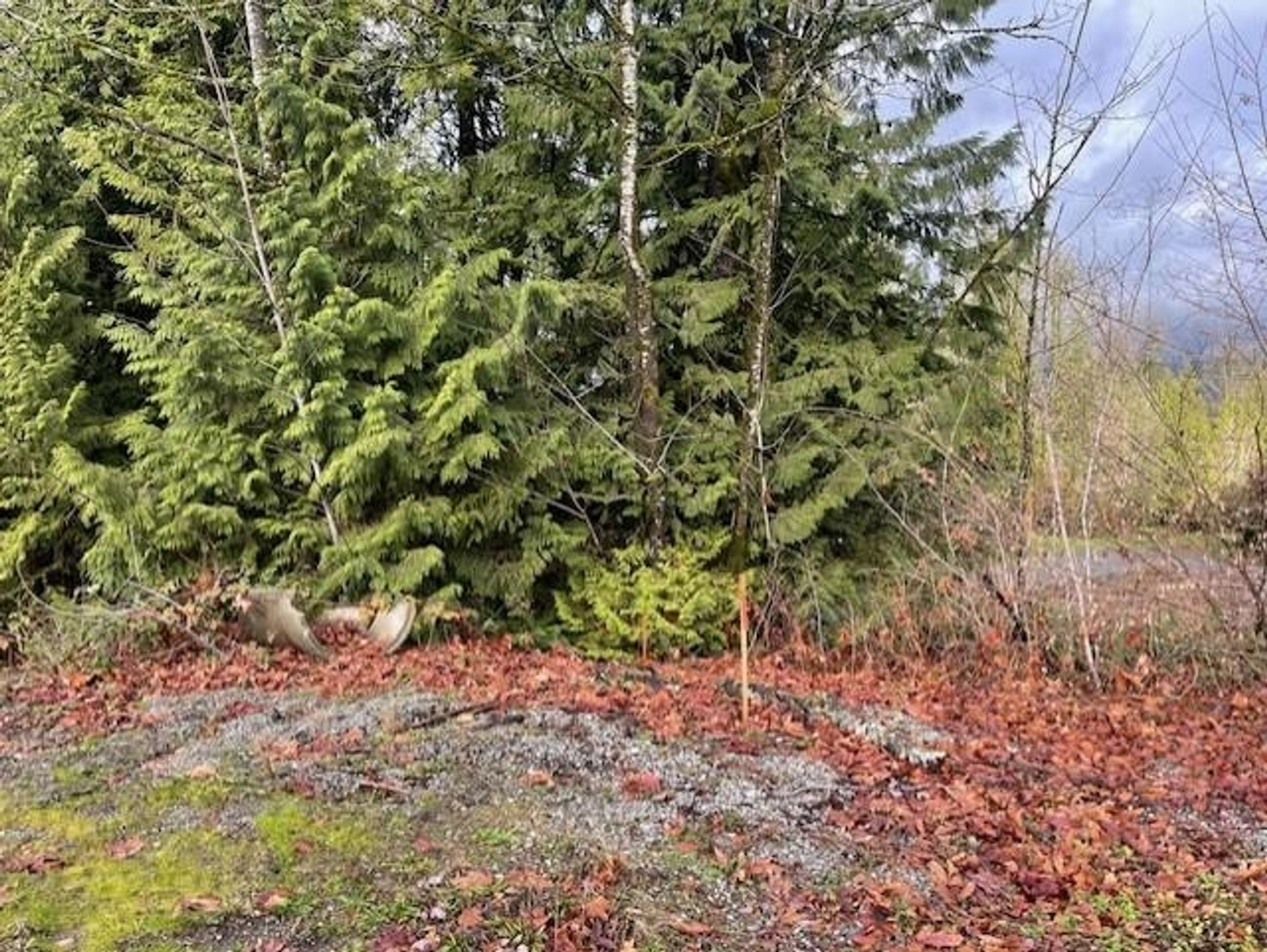 25415 Bosonworth Avenue, Thornhill MR, Maple Ridge  by Jordan Bosa Real Estate Advisor 25415 Bosonworth Avenue, Thornhill MR, Maple Ridge