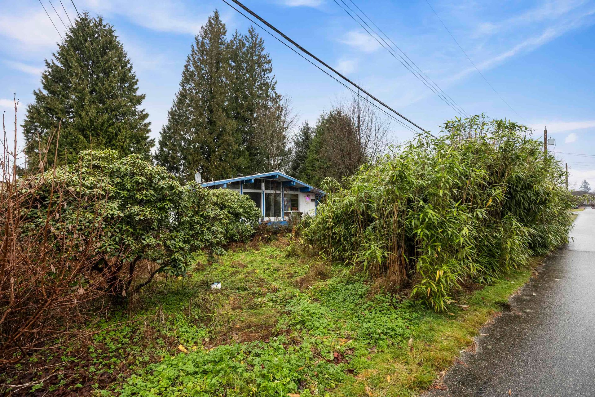 Photo 22 at 22421 Streng Avenue, East Central, Maple Ridge Photo 22 at 22421 Streng Avenue, East Central, Maple Ridge