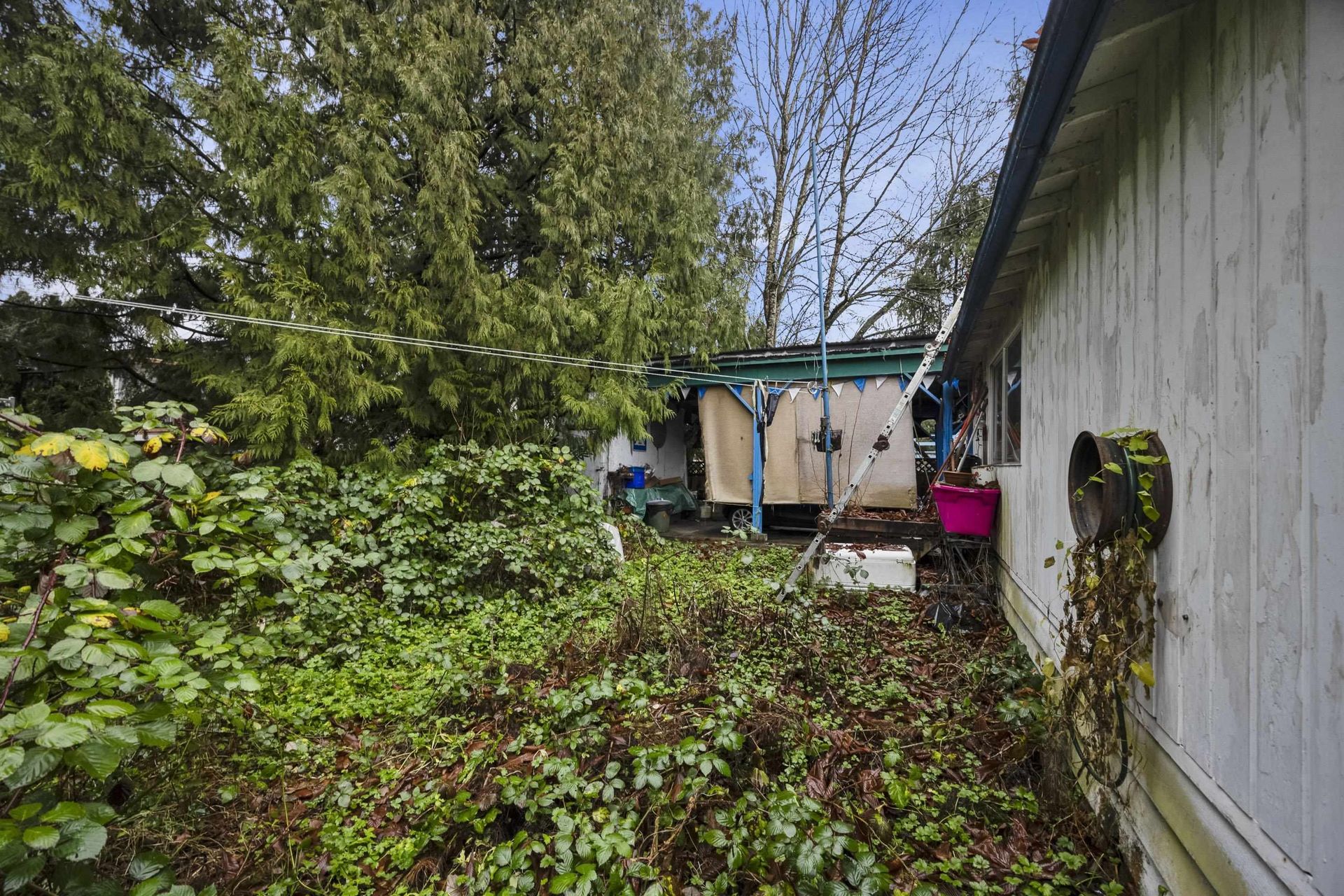 Photo 30 at 22421 Streng Avenue, East Central, Maple Ridge Photo 30 at 22421 Streng Avenue, East Central, Maple Ridge