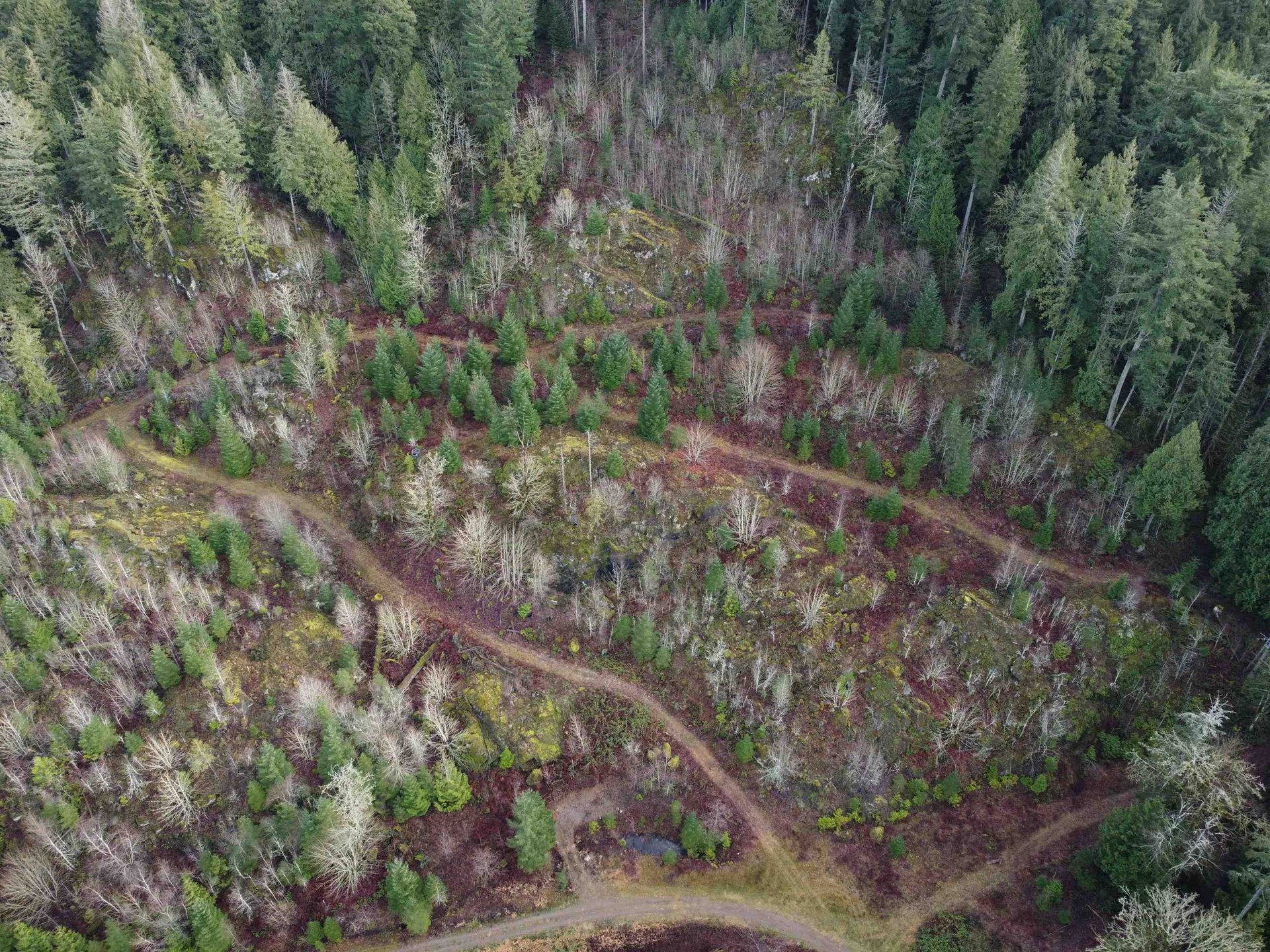 Photo 8 at SUB 12 - SEC 8 Harrison River, Mt Woodside, Agassiz Photo 8 at SUB 12 - SEC 8 Harrison River, Mt Woodside, Agassiz