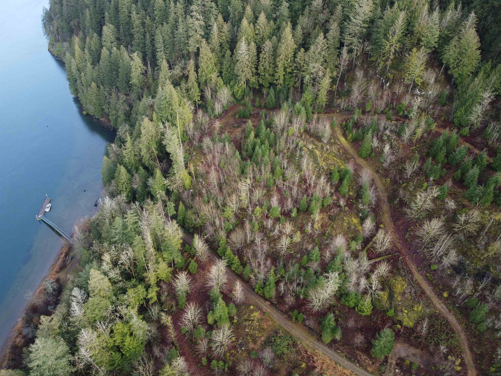 Photo 9 at SUB 12 - SEC 8 Harrison River, Mt Woodside, Agassiz Photo 9 at SUB 12 - SEC 8 Harrison River, Mt Woodside, Agassiz