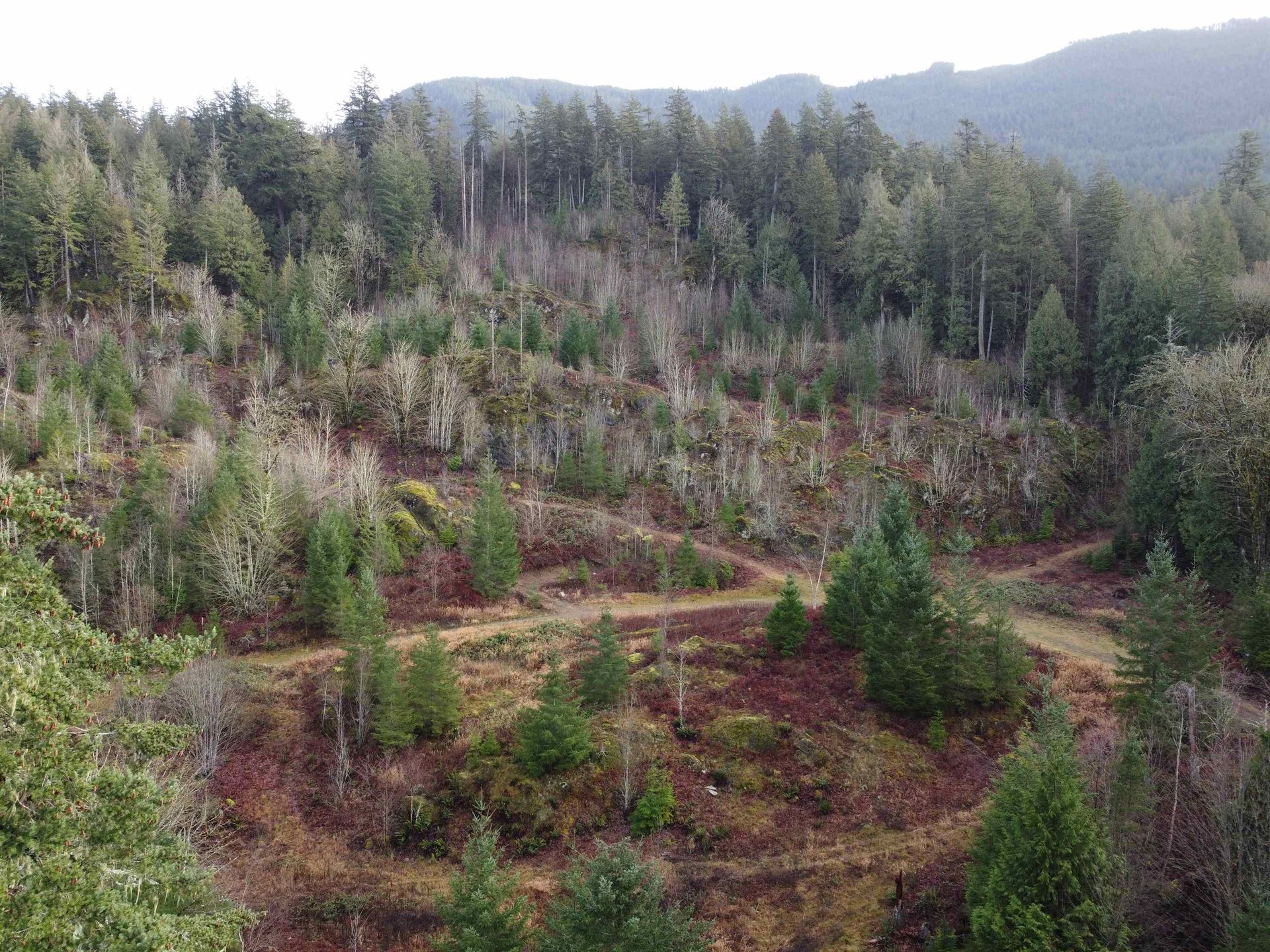 Photo 10 at SUB 12 - SEC 8 Harrison River, Mt Woodside, Agassiz Photo 10 at SUB 12 - SEC 8 Harrison River, Mt Woodside, Agassiz