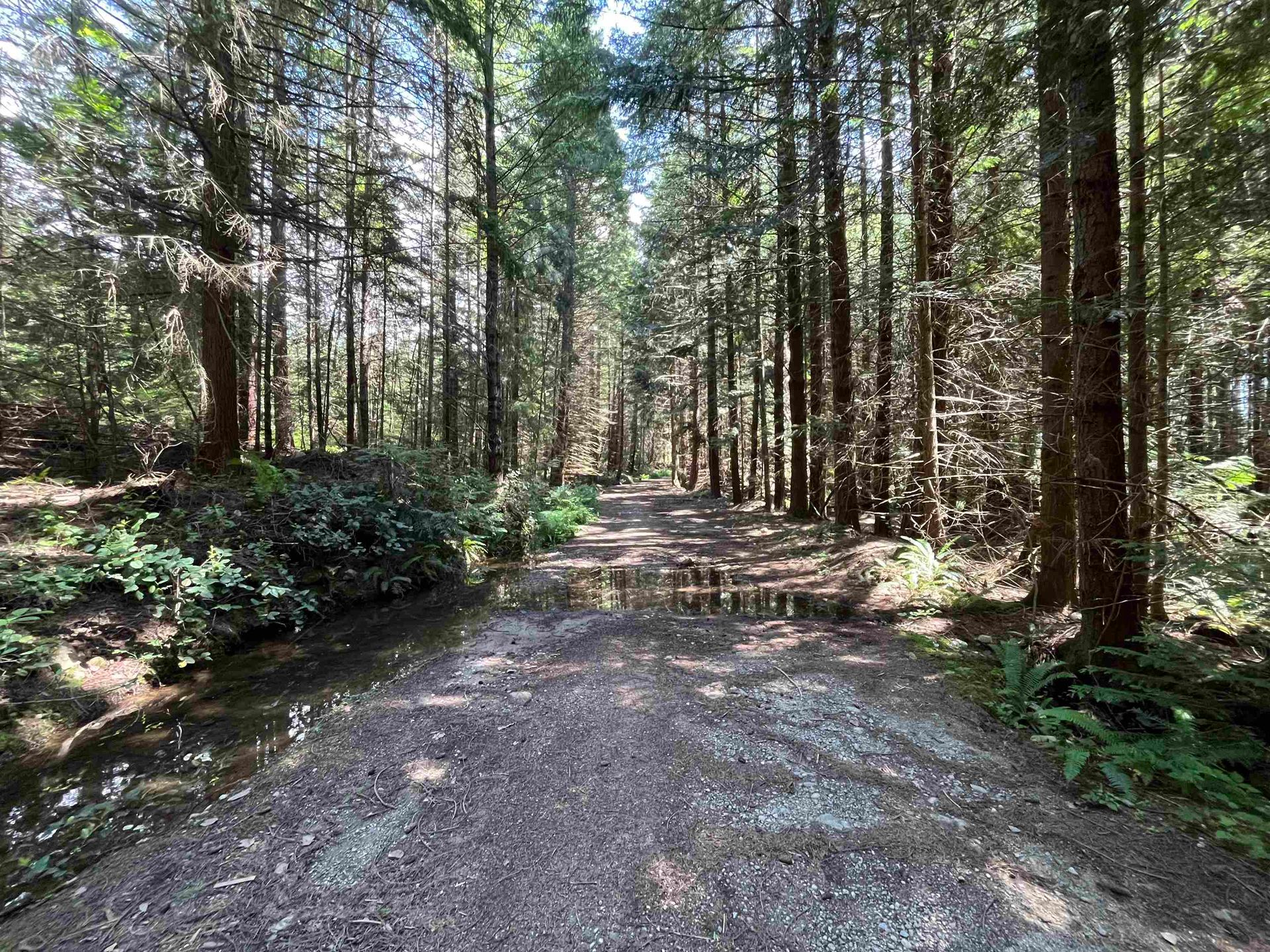 Photo 19 at DL 1312 Sullivan Road, Roberts Creek, Sunshine Coast Photo 19 at DL 1312 Sullivan Road, Roberts Creek, Sunshine Coast