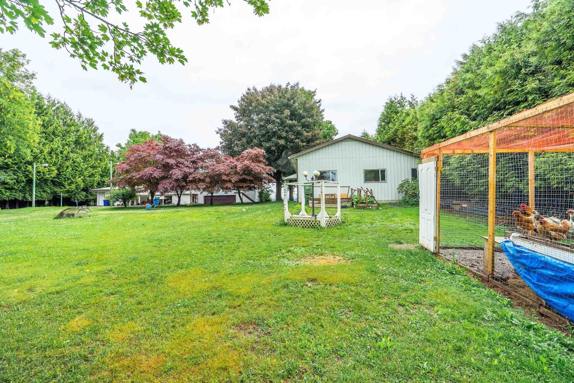 Photo 35 at 1559 Whatcom Road, Abbotsford East, Abbotsford Photo 35 at 1559 Whatcom Road, Abbotsford East, Abbotsford