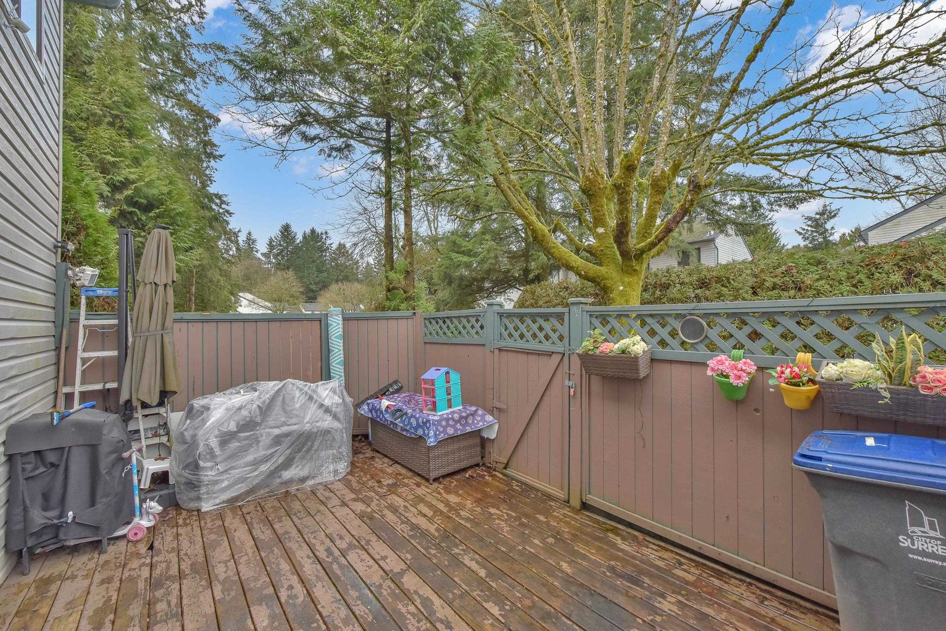 Photo 25 at 129 - 13710 67 Avenue, East Newton, Surrey Photo 25 at 129 - 13710 67 Avenue, East Newton, Surrey