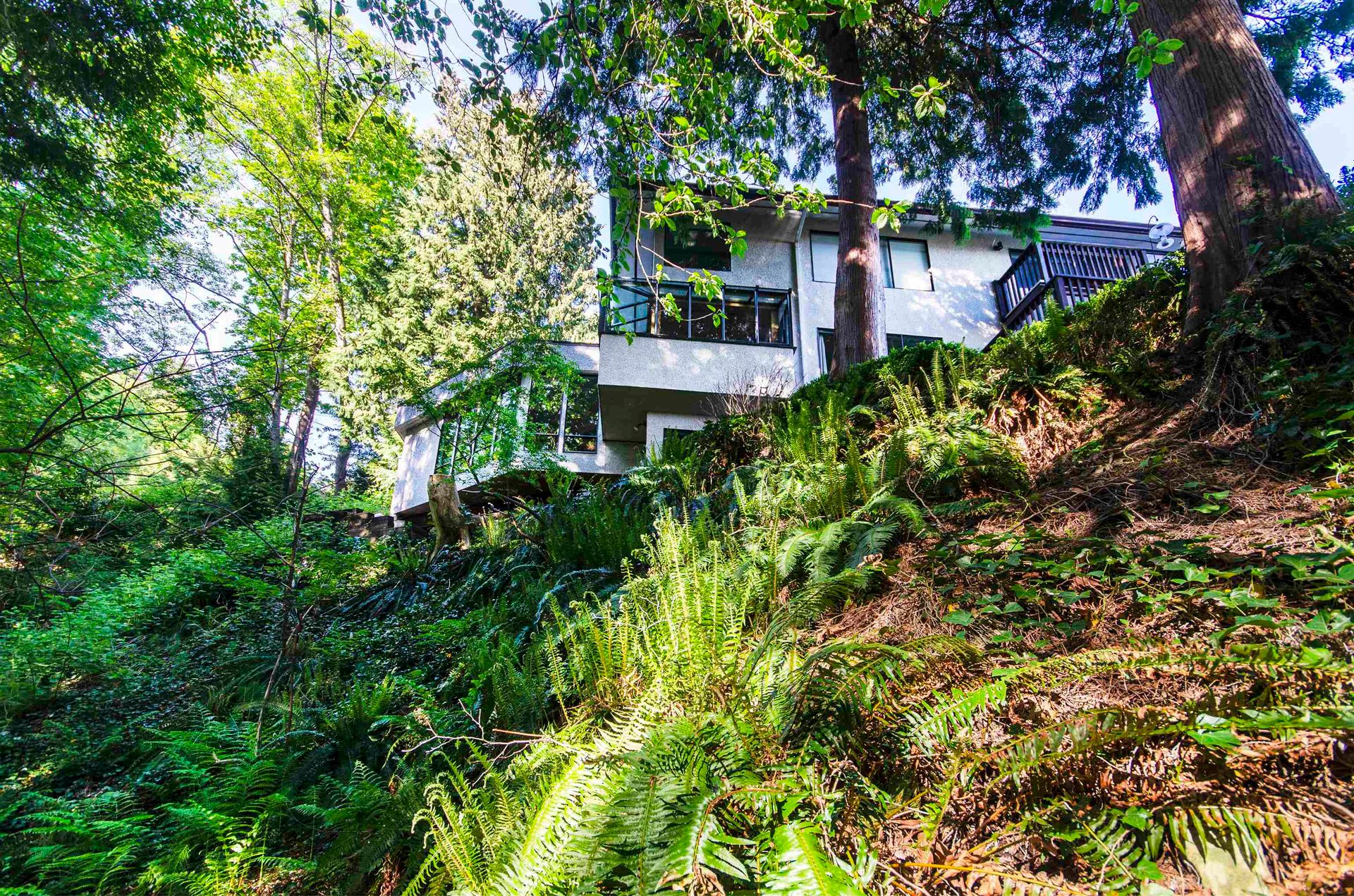 Photo 32 at 2440 Queens Avenue, Queens, West Vancouver Photo 32 at 2440 Queens Avenue, Queens, West Vancouver