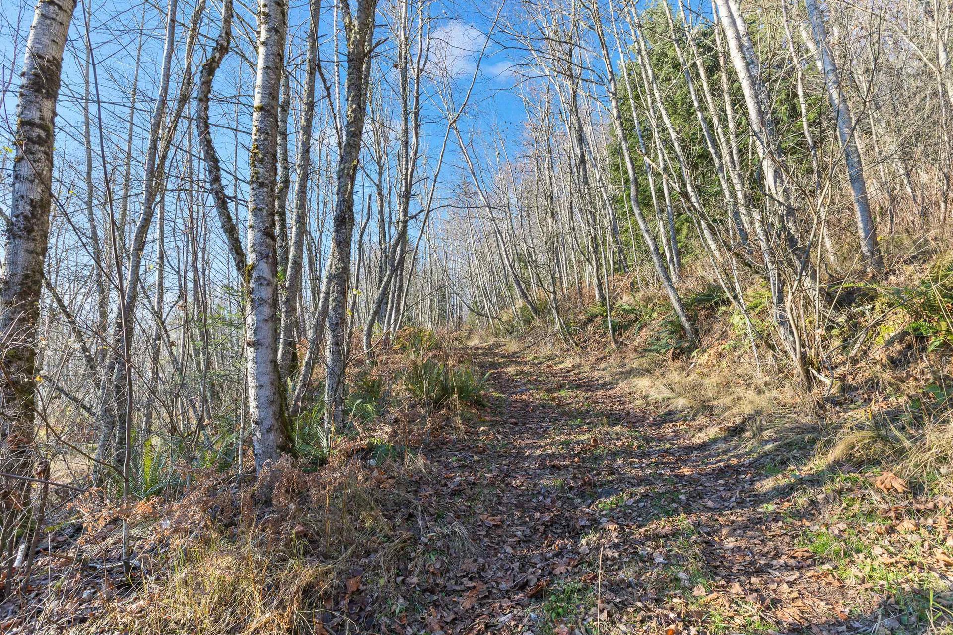 Photo 9 at 49780 Lookout Road, Ryder Lake, Sardis