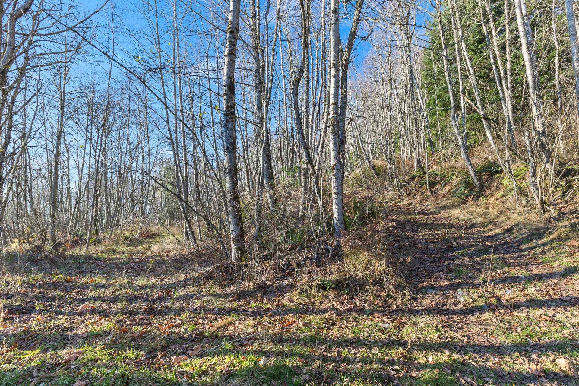 Photo 10 at 49780 Lookout Road, Ryder Lake, Sardis