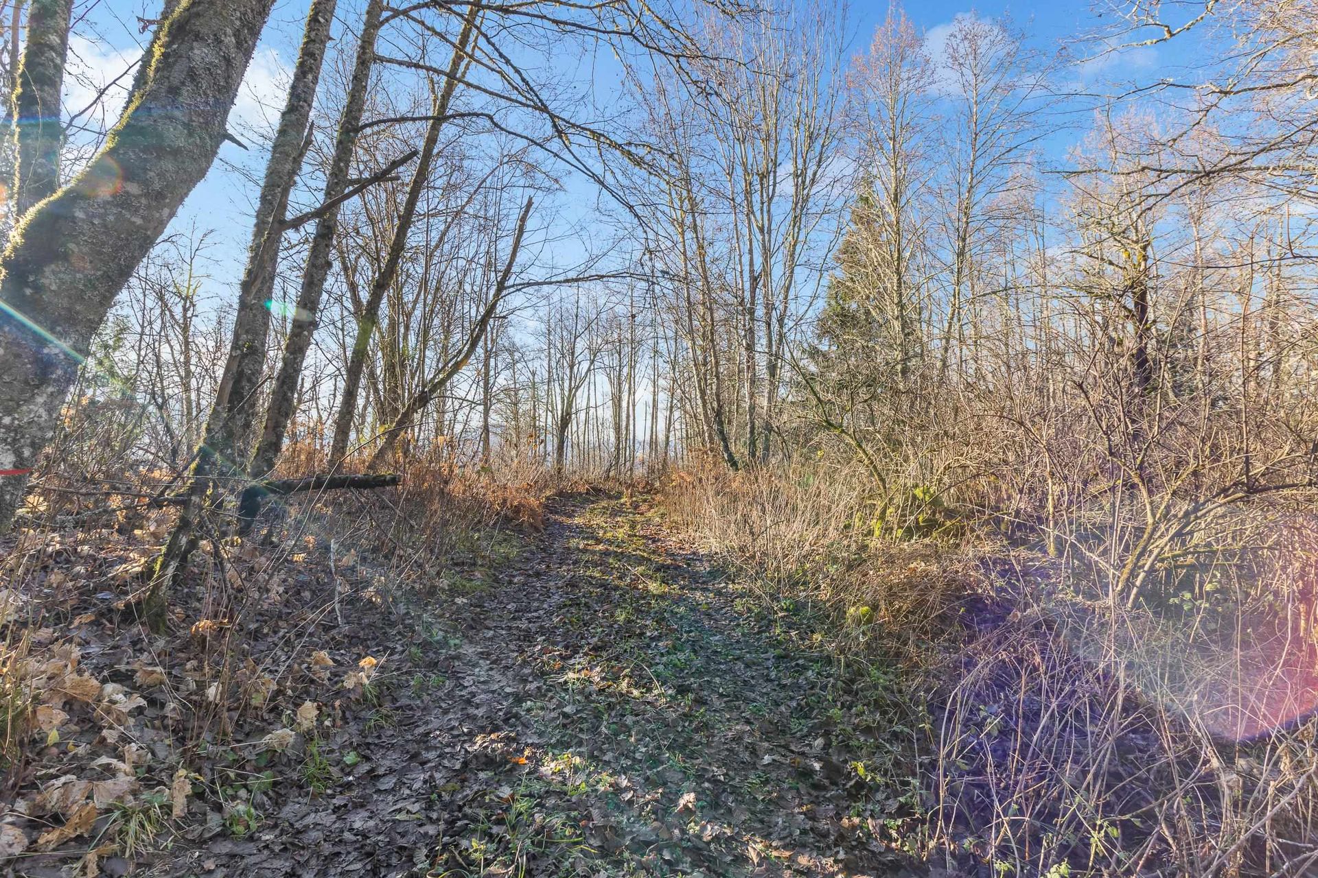 Photo 11 at 49780 Lookout Road, Ryder Lake, Sardis