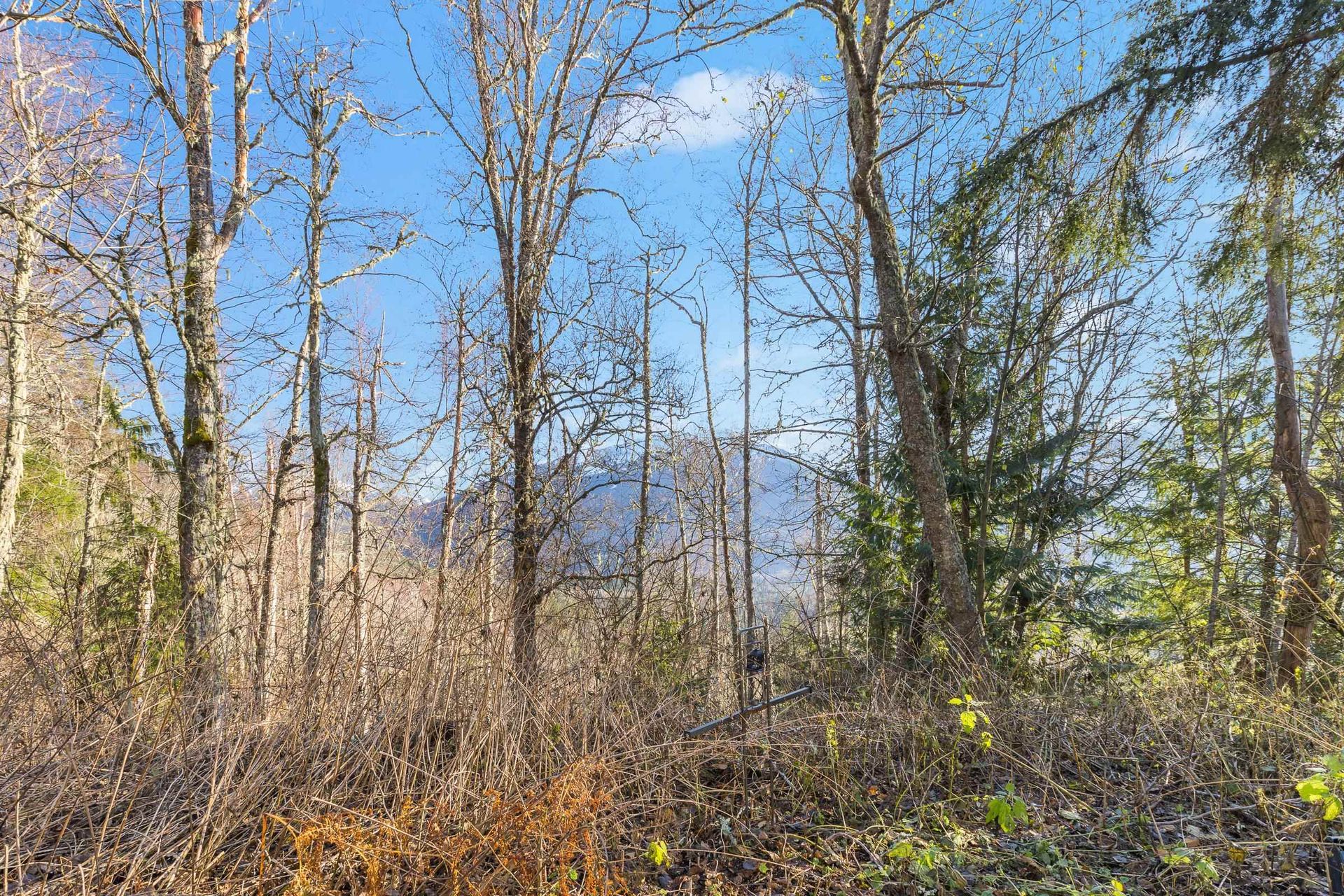 Photo 12 at 49780 Lookout Road, Ryder Lake, Sardis