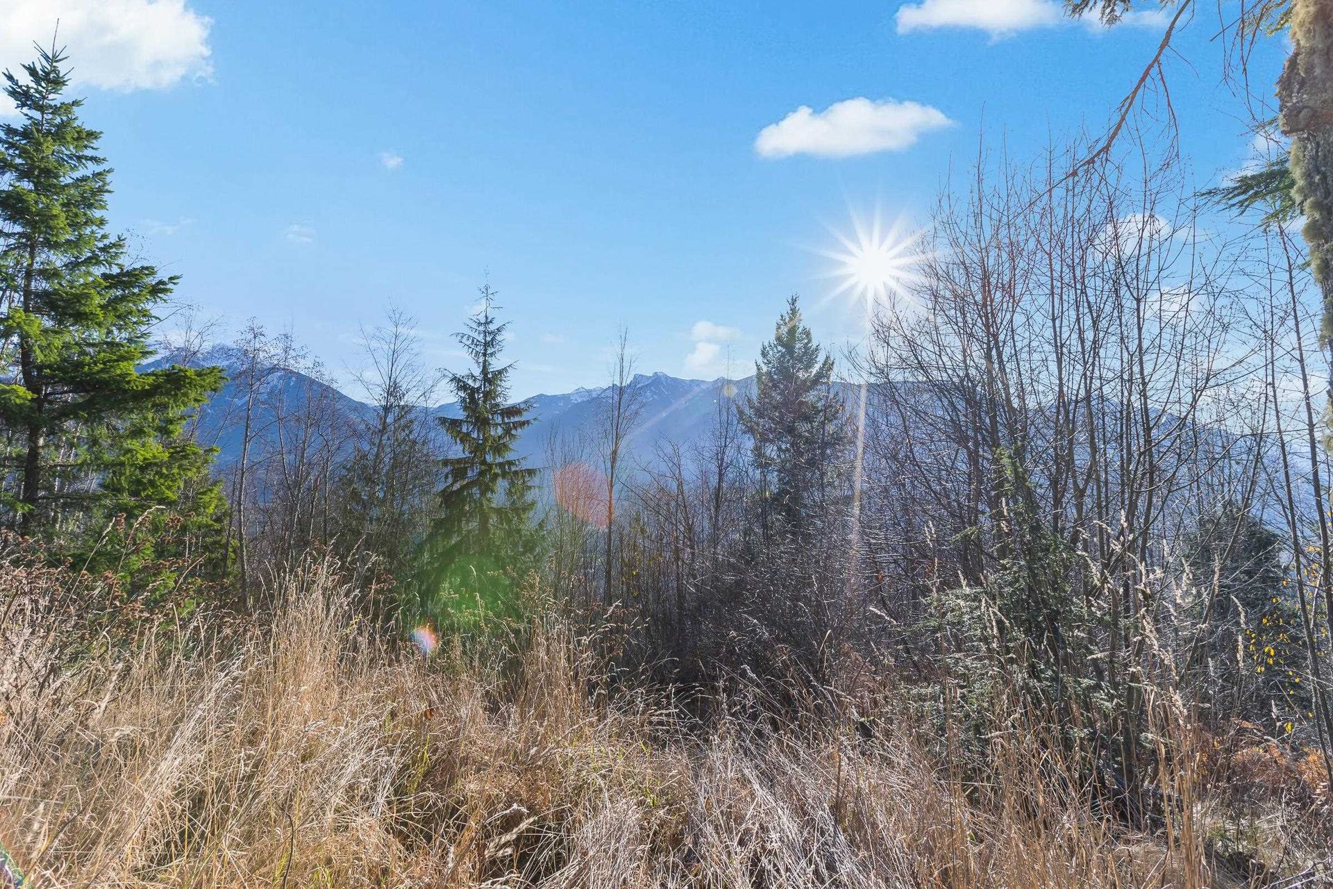 Photo 18 at 49780 Lookout Road, Ryder Lake, Sardis