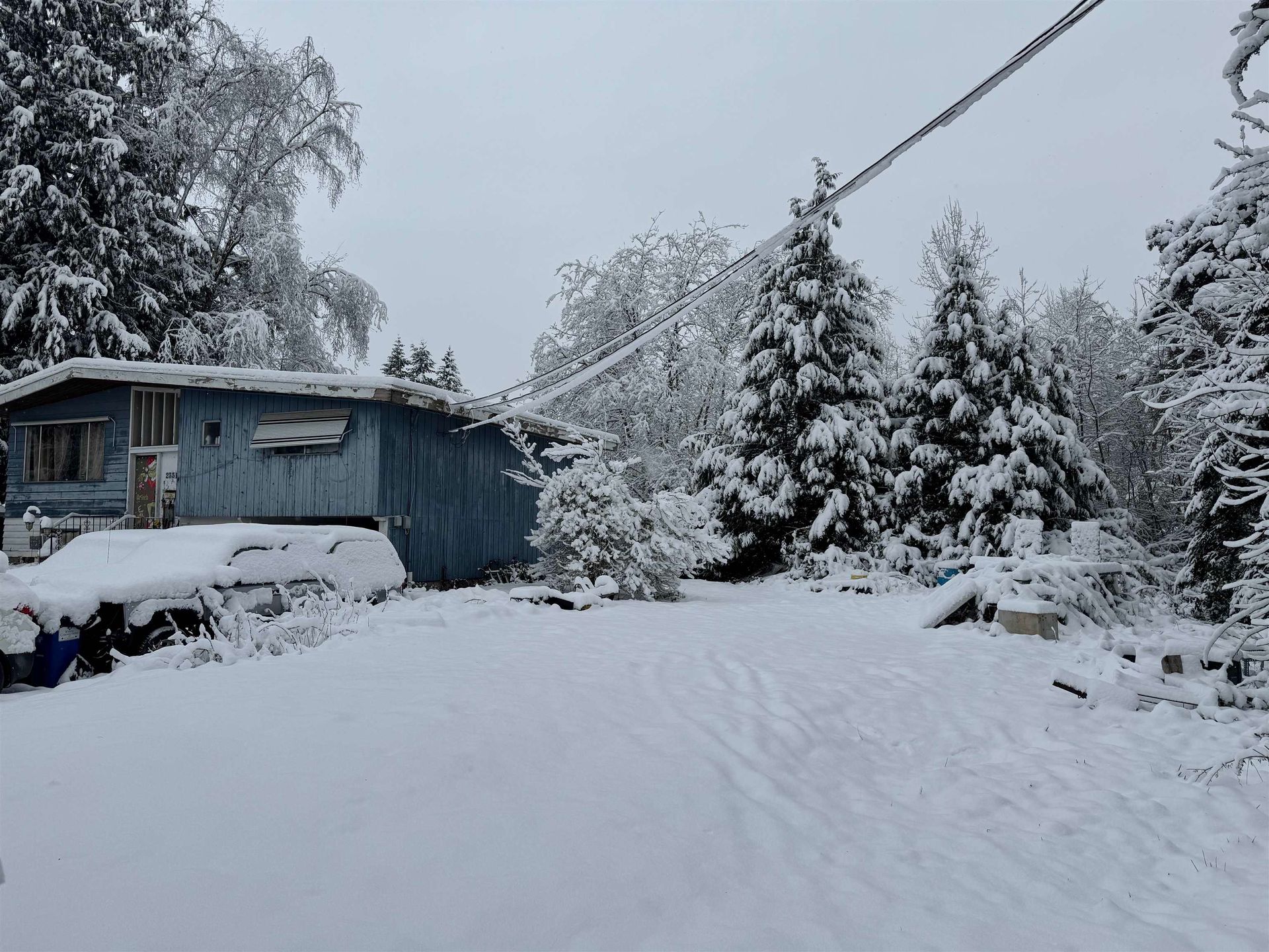 Photo 6 at 23311 118 Avenue, Cottonwood MR, Maple Ridge Photo 6 at 23311 118 Avenue, Cottonwood MR, Maple Ridge
