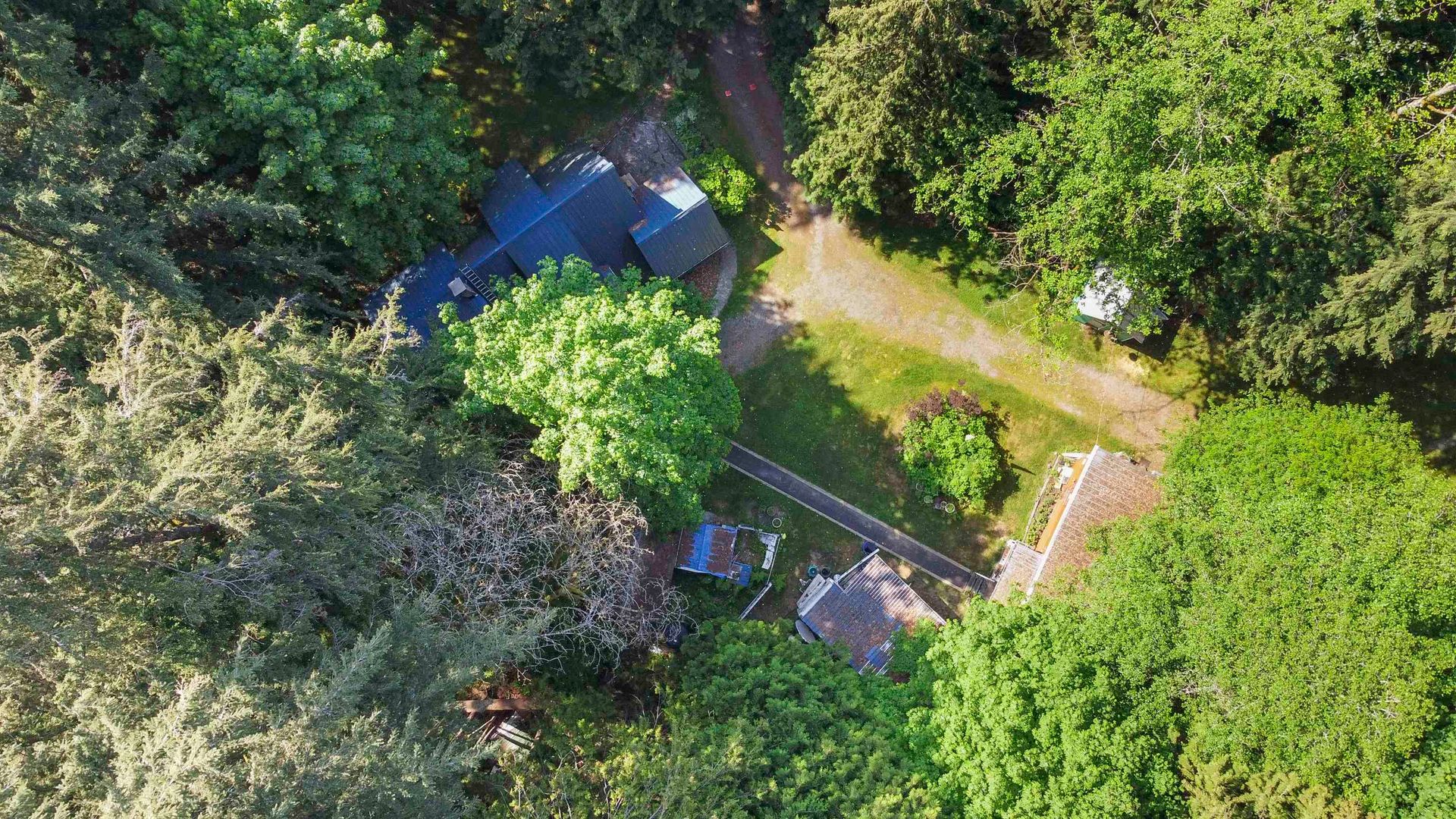 Photo 11 at 23287 141 Avenue, Silver Valley, Maple Ridge Photo 11 at 23287 141 Avenue, Silver Valley, Maple Ridge