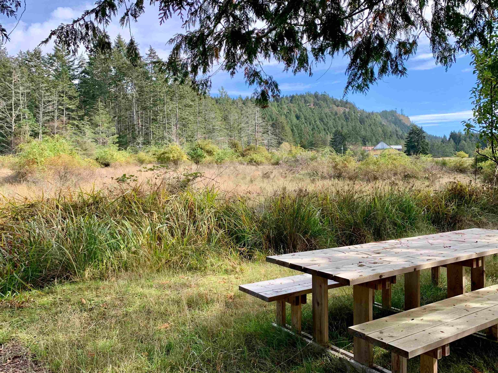 Photo 6 at 510 Dalton Drive, Mayne Island, Islands-Van. & Gulf Photo 6 at 510 Dalton Drive, Mayne Island, Islands-Van. & Gulf