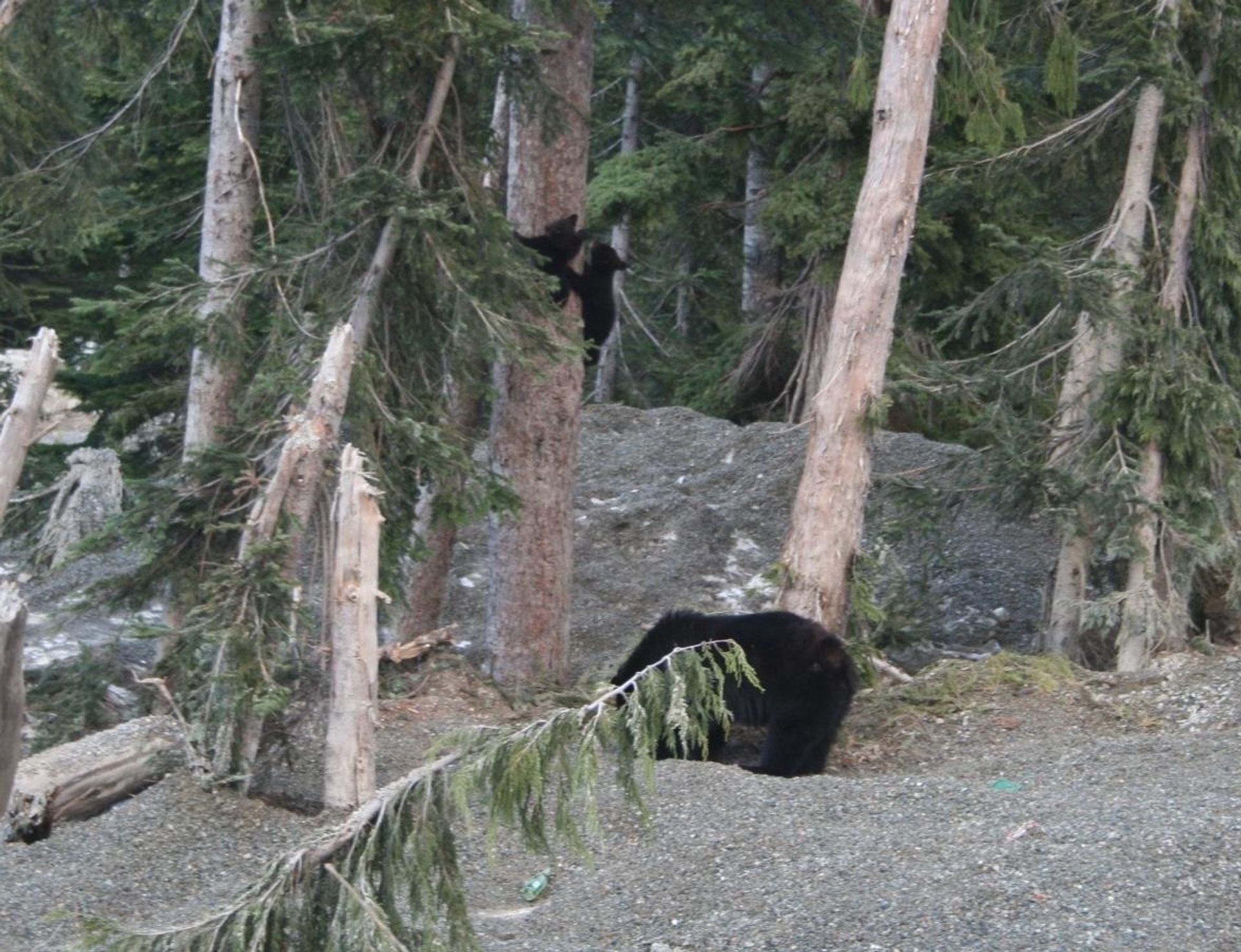 Photo 7 at 20946 Snowflake Crescent, Hemlock, Mission Photo 7 at 20946 Snowflake Crescent, Hemlock, Mission