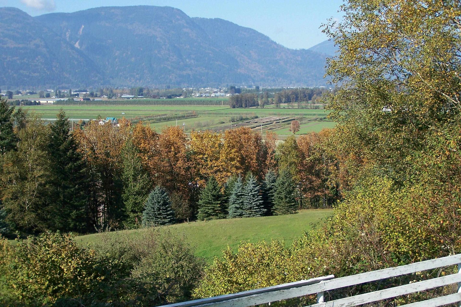 Photo 5 at 41313 Old Yale Road, Sumas Prairie, Abbotsford Photo 5 at 41313 Old Yale Road, Sumas Prairie, Abbotsford