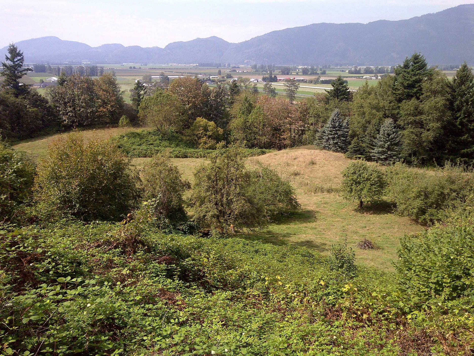 Photo 6 at 41313 Old Yale Road, Sumas Prairie, Abbotsford Photo 6 at 41313 Old Yale Road, Sumas Prairie, Abbotsford