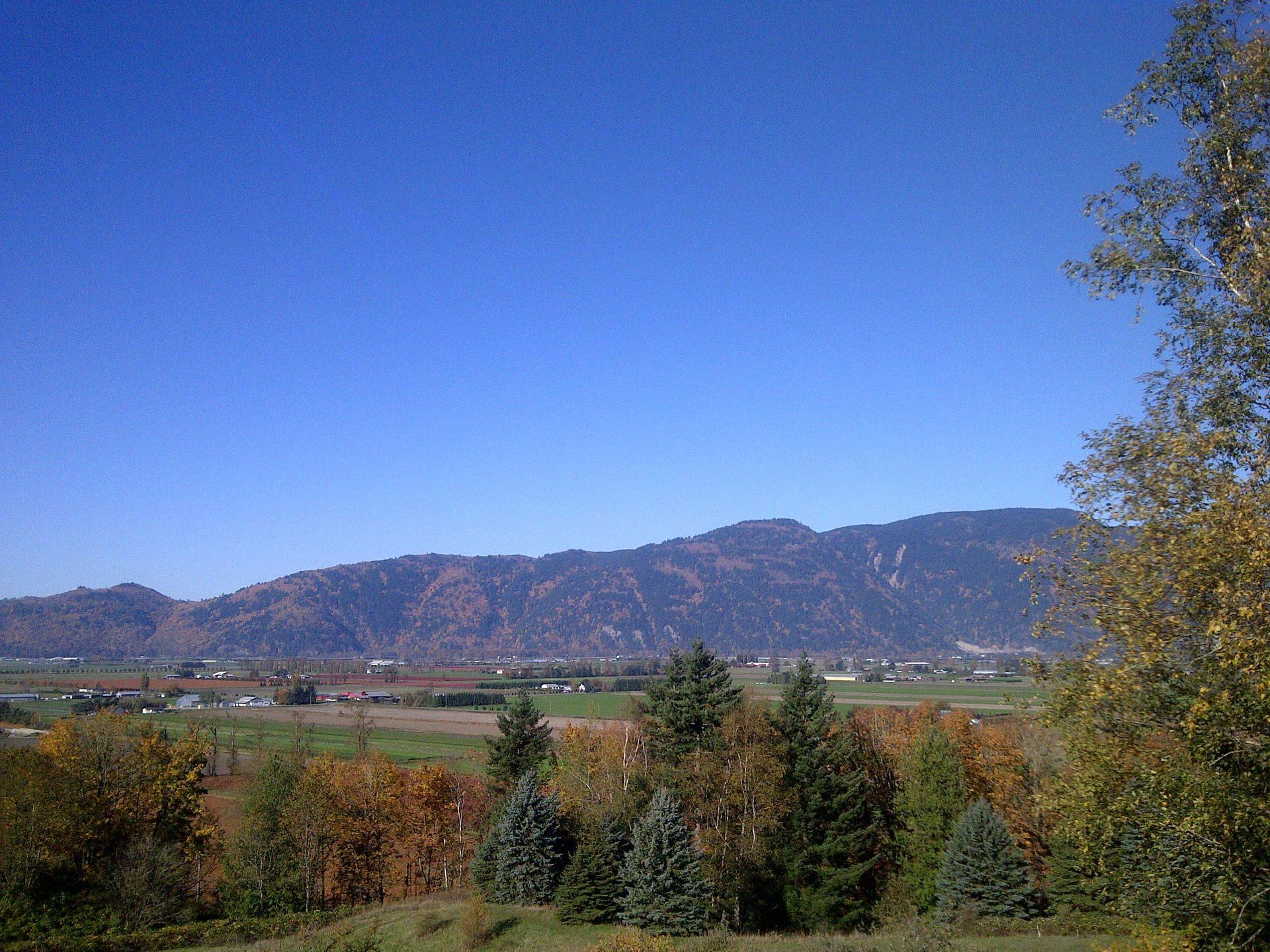 Photo 10 at 41313 Old Yale Road, Sumas Prairie, Abbotsford Photo 10 at 41313 Old Yale Road, Sumas Prairie, Abbotsford