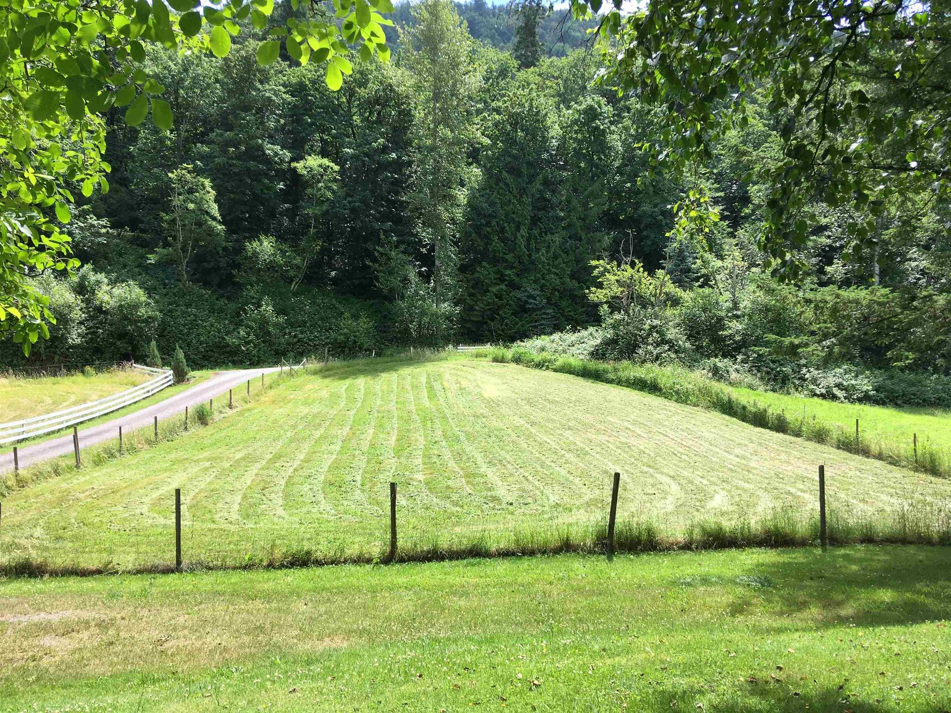 Photo 19 at 41313 Old Yale Road, Sumas Prairie, Abbotsford Photo 19 at 41313 Old Yale Road, Sumas Prairie, Abbotsford