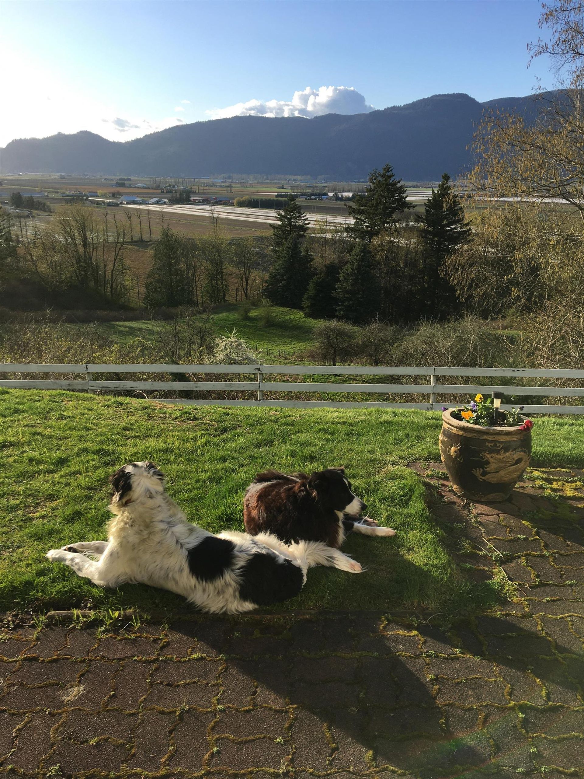 Photo 23 at 41313 Old Yale Road, Sumas Prairie, Abbotsford Photo 23 at 41313 Old Yale Road, Sumas Prairie, Abbotsford