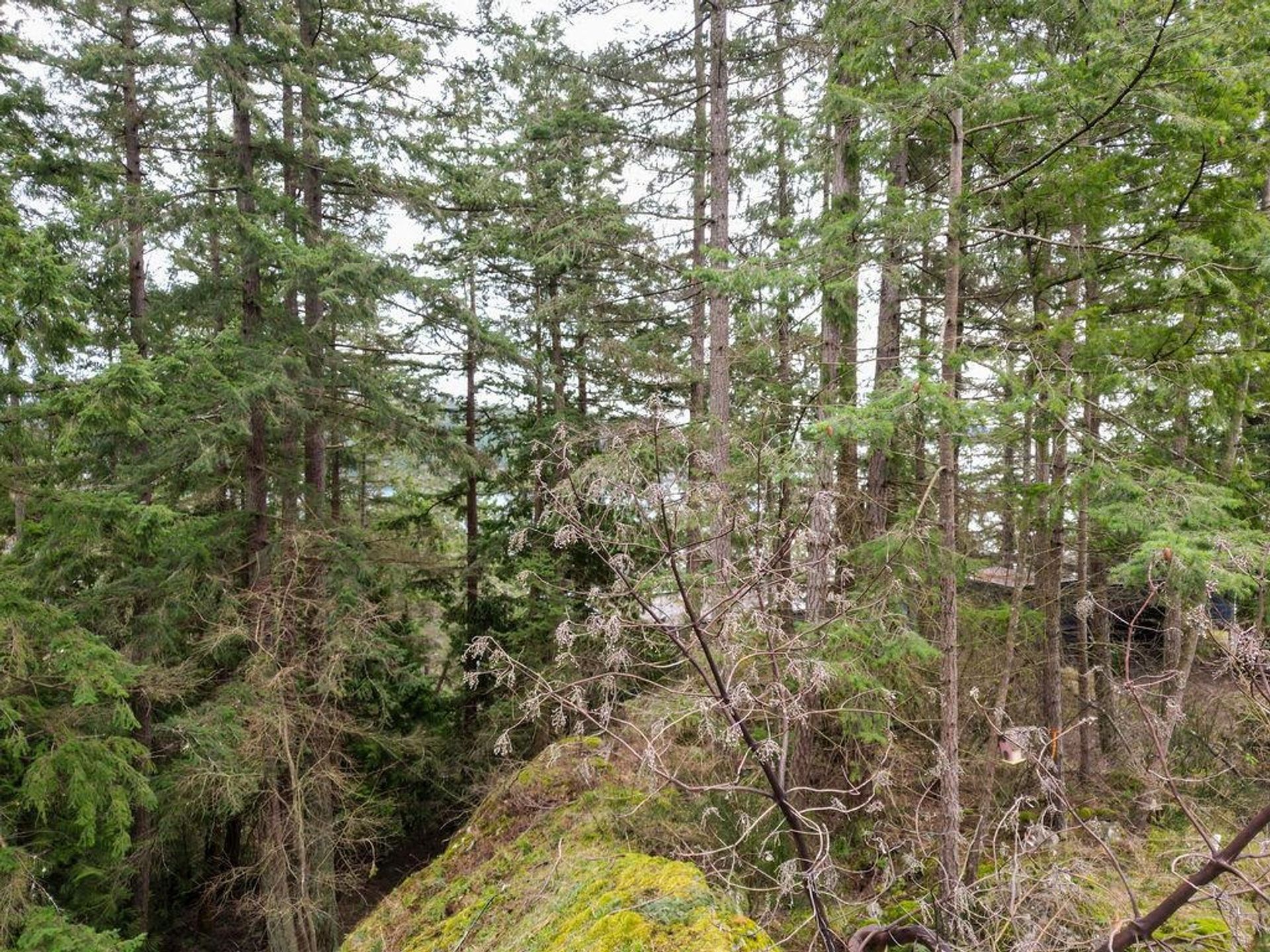 Photo 5 at Lot A Skyline Drive, Gibsons & Area, Sunshine Coast Photo 5 at Lot A Skyline Drive, Gibsons & Area, Sunshine Coast