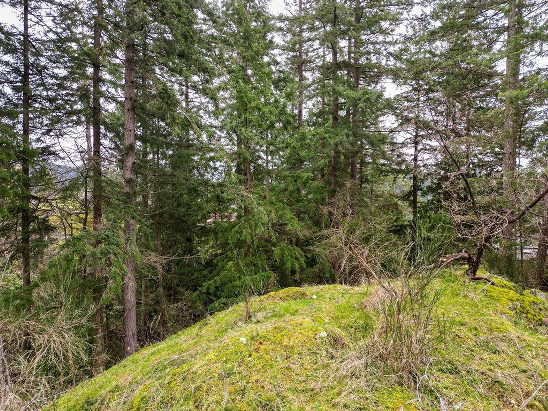 Photo 7 at Lot A Skyline Drive, Gibsons & Area, Sunshine Coast Photo 7 at Lot A Skyline Drive, Gibsons & Area, Sunshine Coast