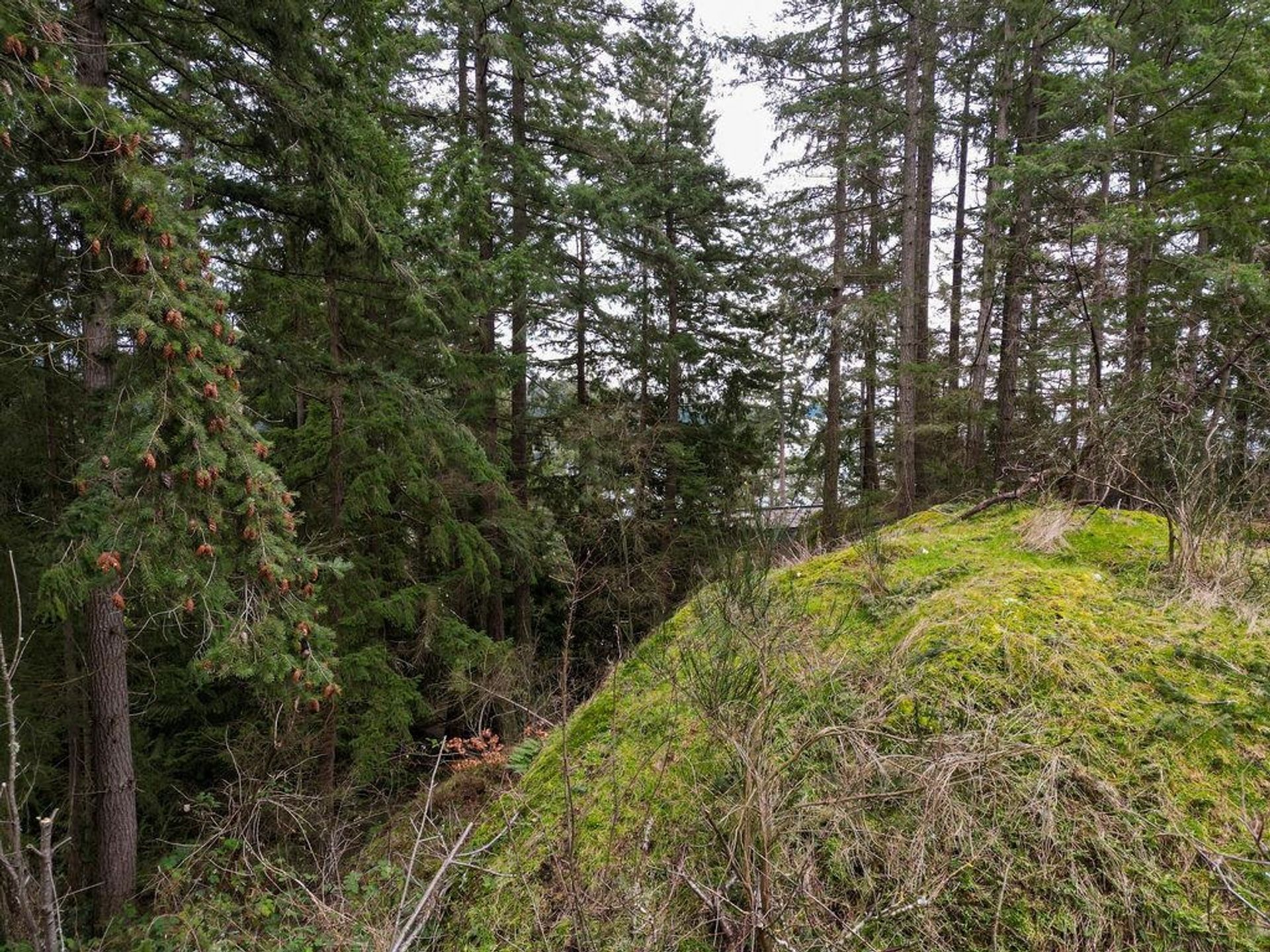 Photo 9 at Lot A Skyline Drive, Gibsons & Area, Sunshine Coast Photo 9 at Lot A Skyline Drive, Gibsons & Area, Sunshine Coast