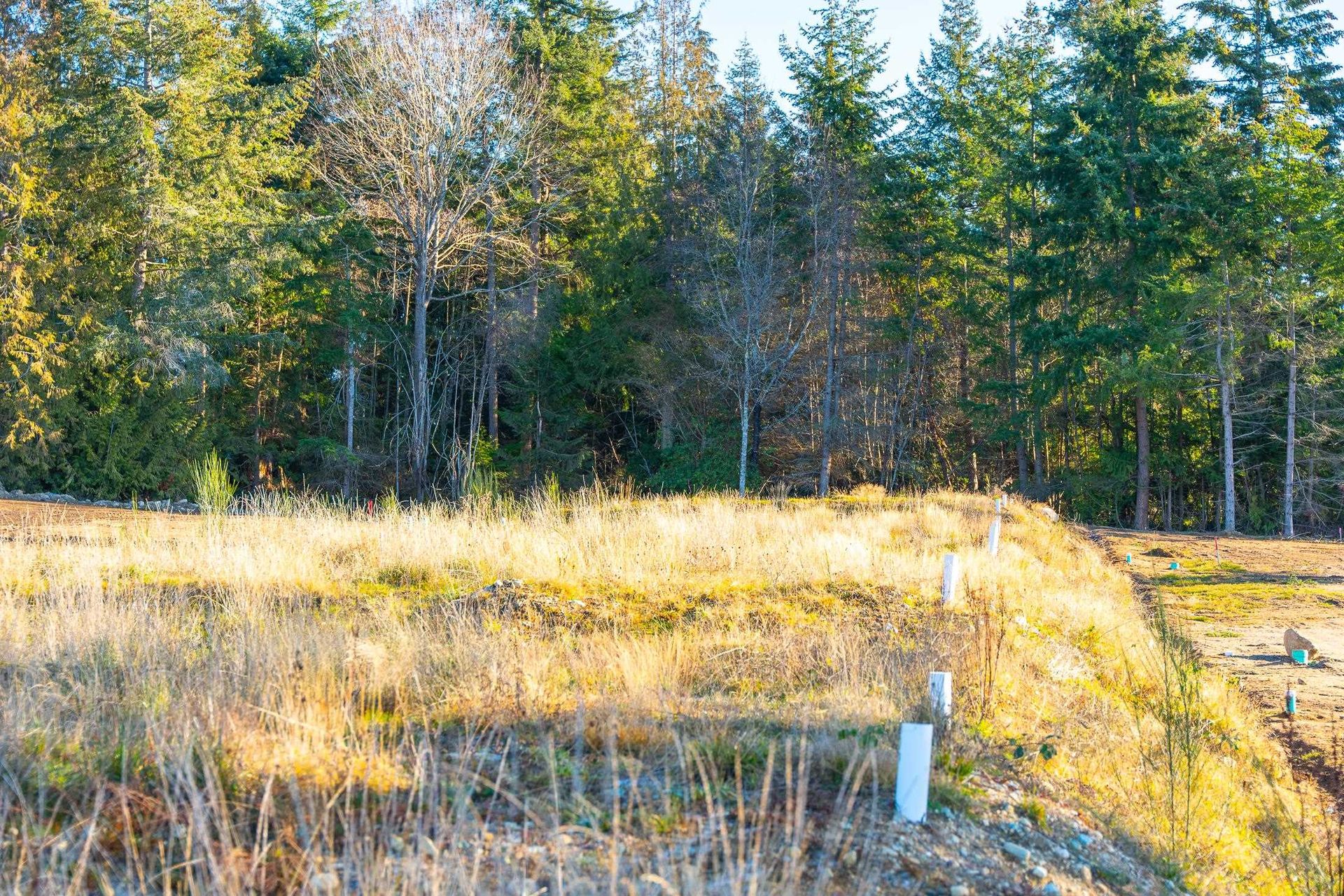 Photo 17 at LOT 1 Salal Road, Sechelt District, Sunshine Coast Photo 17 at LOT 1 Salal Road, Sechelt District, Sunshine Coast