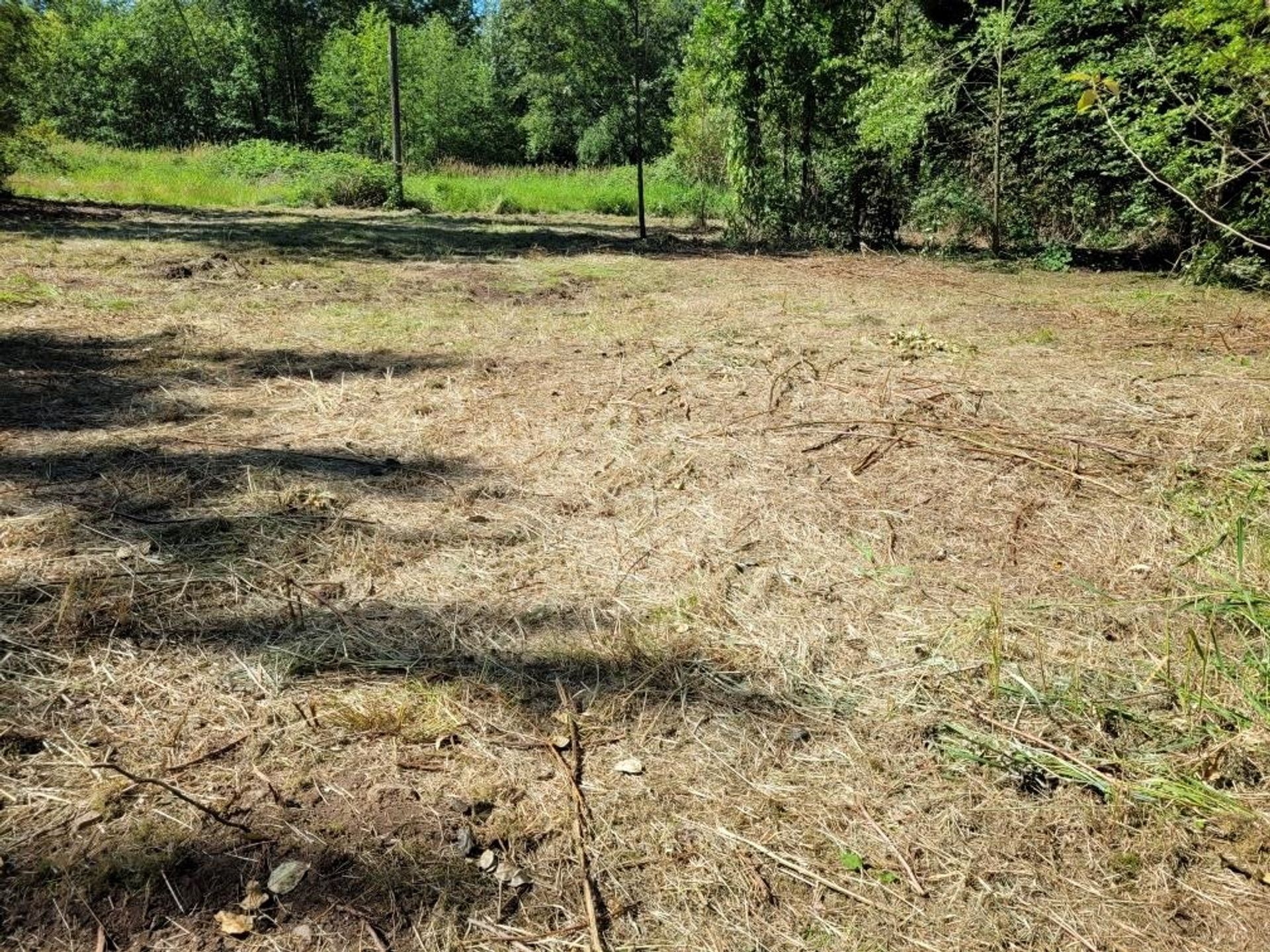 24428 Dewdney Trunk Road, Cottonwood MR, Maple Ridge  by Jordan Bosa Real Estate Advisor 24428 Dewdney Trunk Road, Cottonwood MR, Maple Ridge