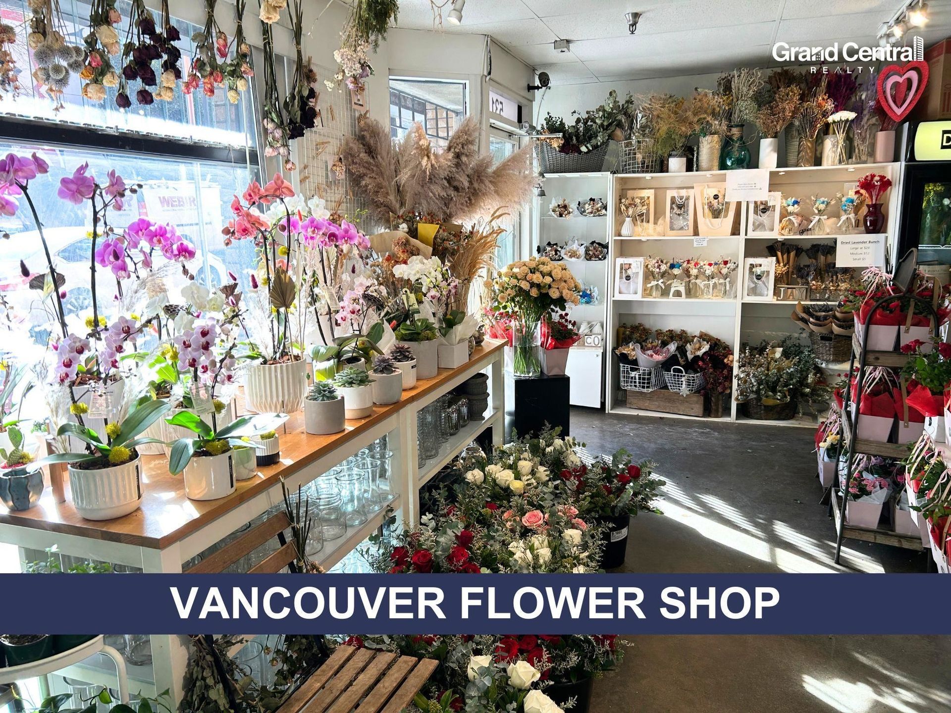 531 Richards Street, Downtown VW, Vancouver West photo number 2