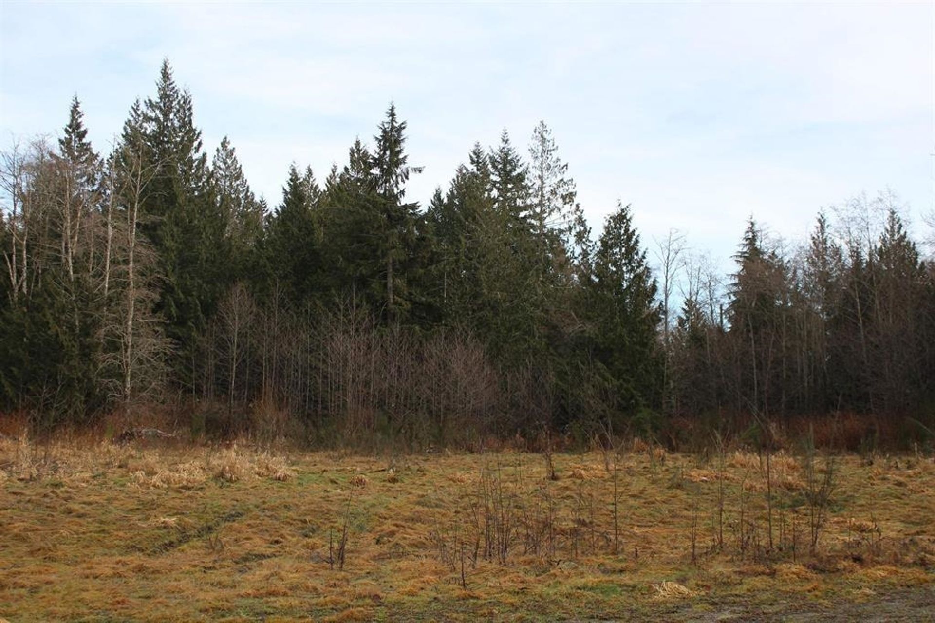 Photo 8 at 508 Pratt Road, Gibsons & Area, Sunshine Coast Photo 8 at 508 Pratt Road, Gibsons & Area, Sunshine Coast