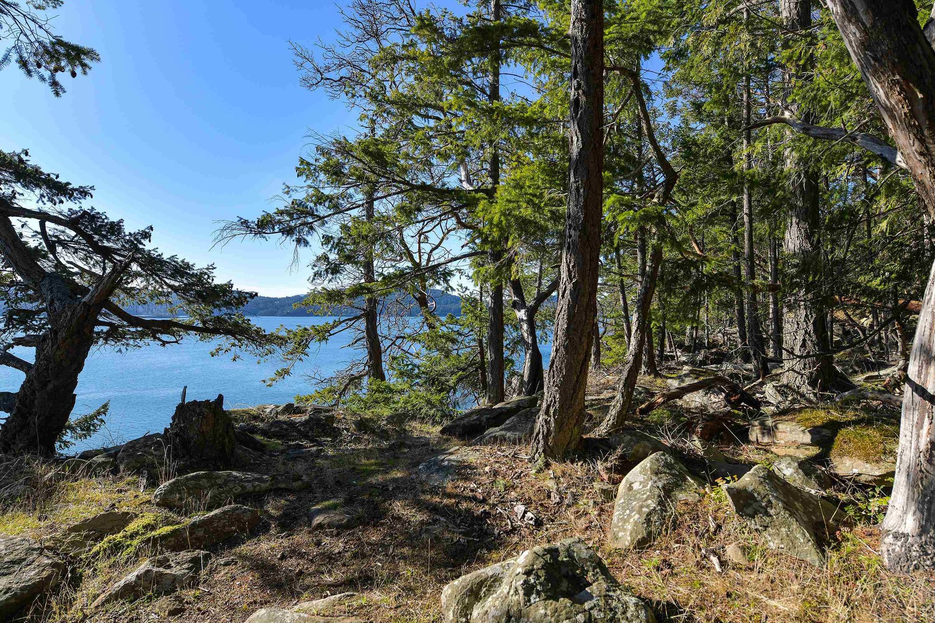 Photo 4 at Lot A Beechwood Drive, Mayne Island, Islands-Van. & Gulf Photo 4 at Lot A Beechwood Drive, Mayne Island, Islands-Van. & Gulf