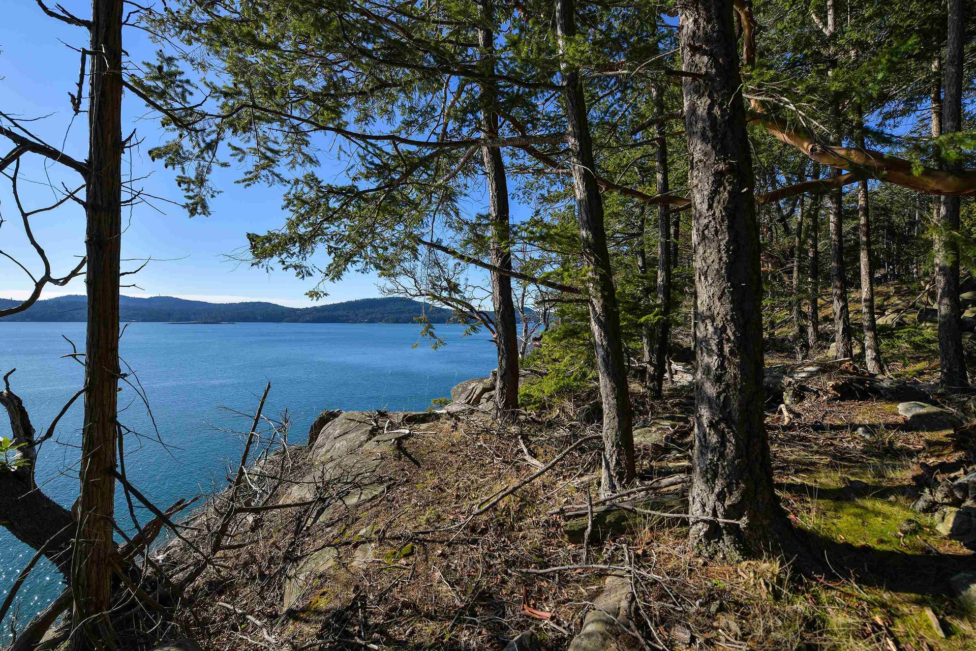 Photo 6 at Lot A Beechwood Drive, Mayne Island, Islands-Van. & Gulf Photo 6 at Lot A Beechwood Drive, Mayne Island, Islands-Van. & Gulf