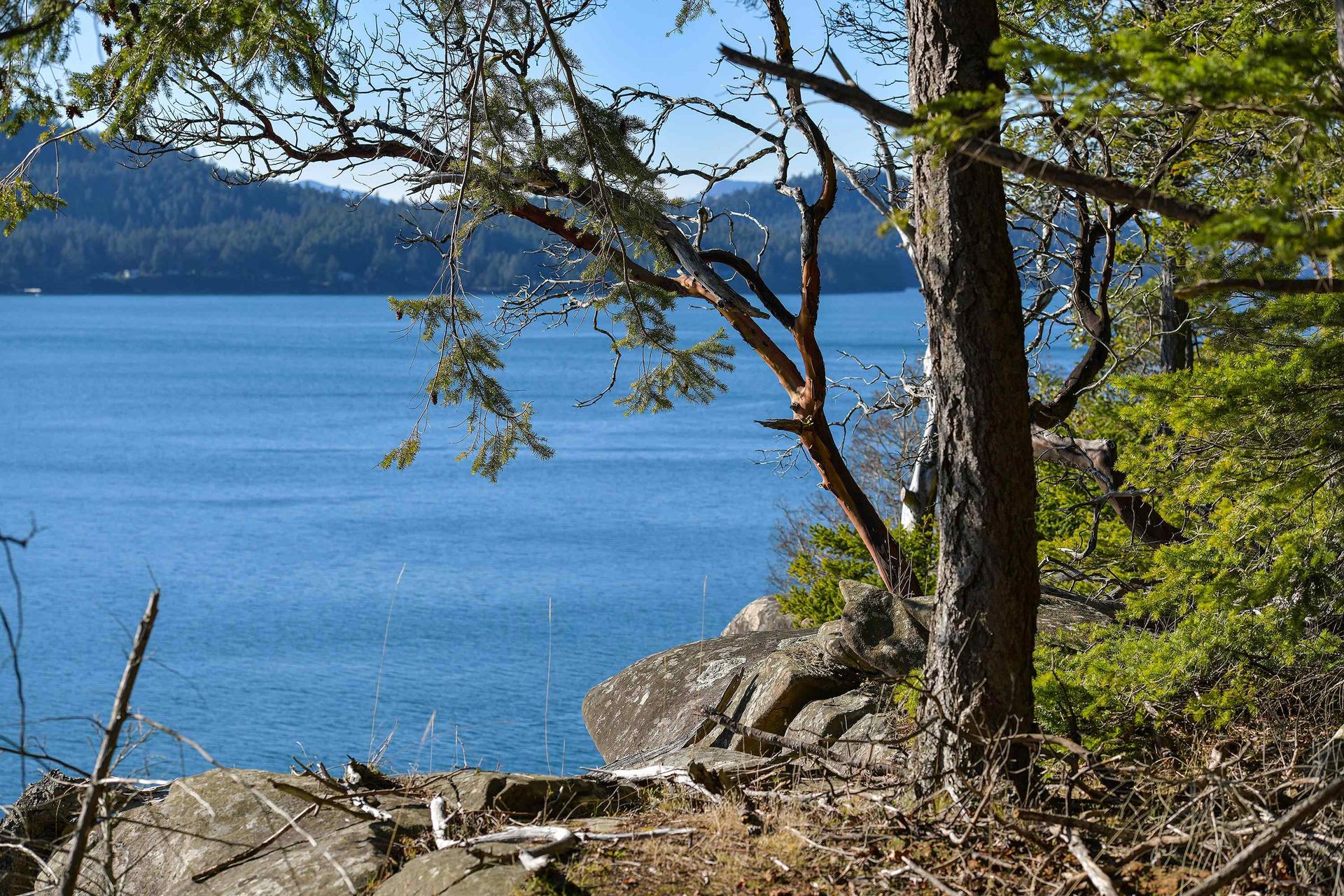 Photo 11 at Lot A Beechwood Drive, Mayne Island, Islands-Van. & Gulf Photo 11 at Lot A Beechwood Drive, Mayne Island, Islands-Van. & Gulf