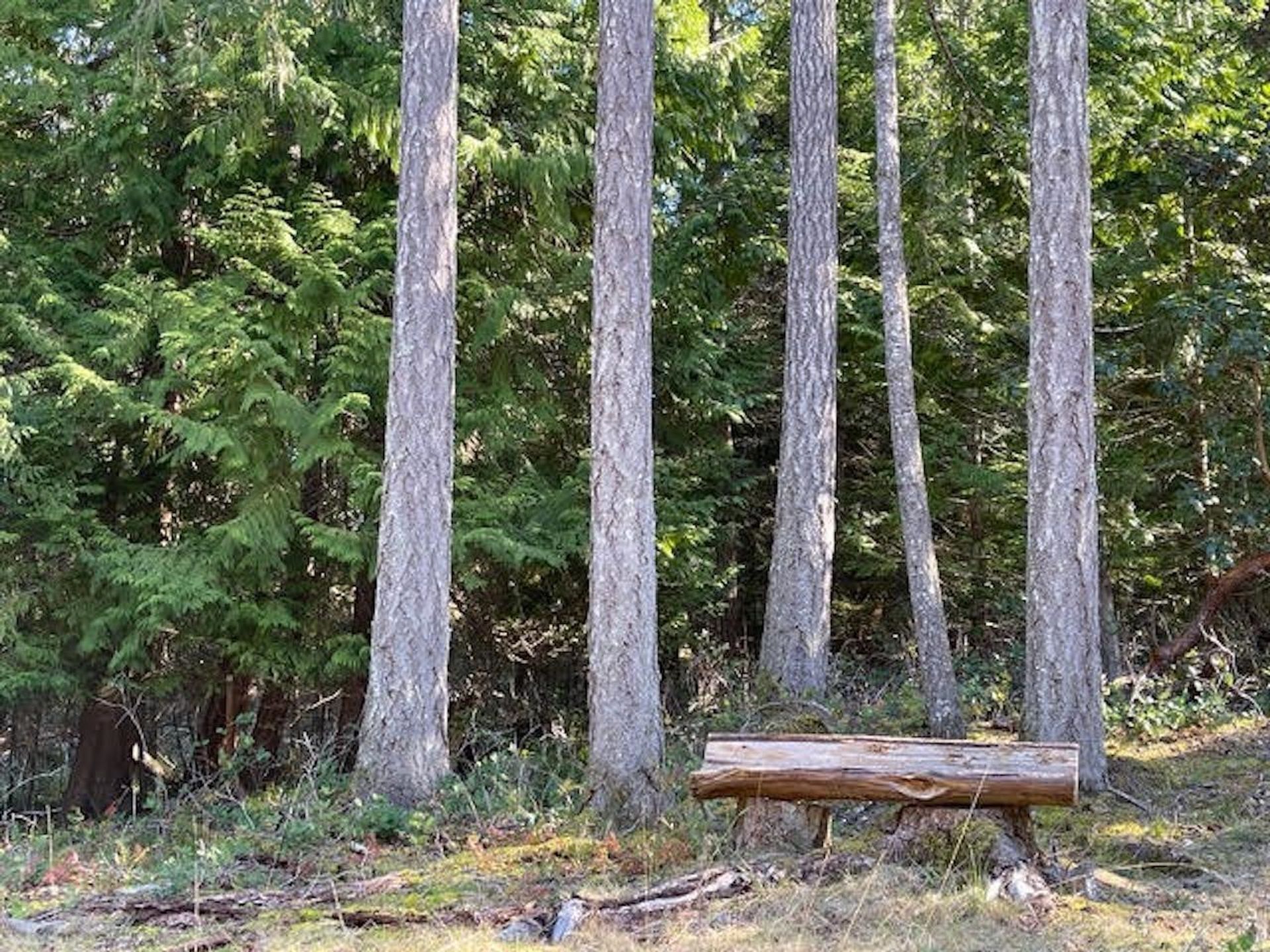 Photo 1 at 1840 Seymour Road, Gabriola Island, Islands-Van. & Gulf Photo 1 at 1840 Seymour Road, Gabriola Island, Islands-Van. & Gulf