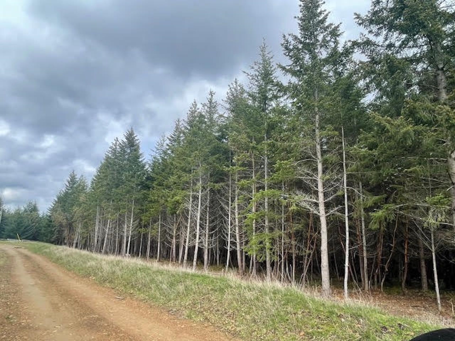 Photo 2 at 1840 Seymour Road, Gabriola Island, Islands-Van. & Gulf Photo 2 at 1840 Seymour Road, Gabriola Island, Islands-Van. & Gulf