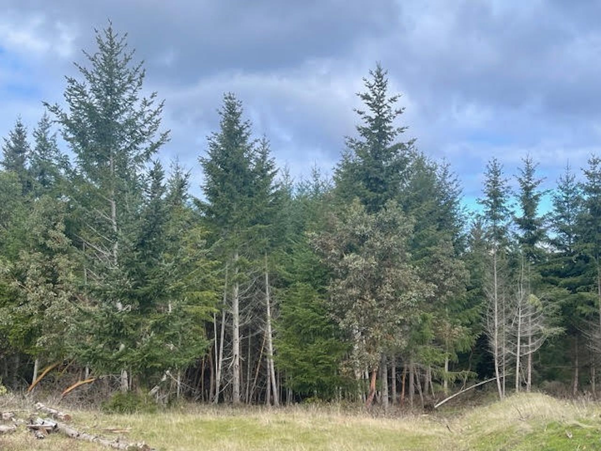 Photo 3 at 1840 Seymour Road, Gabriola Island, Islands-Van. & Gulf Photo 3 at 1840 Seymour Road, Gabriola Island, Islands-Van. & Gulf