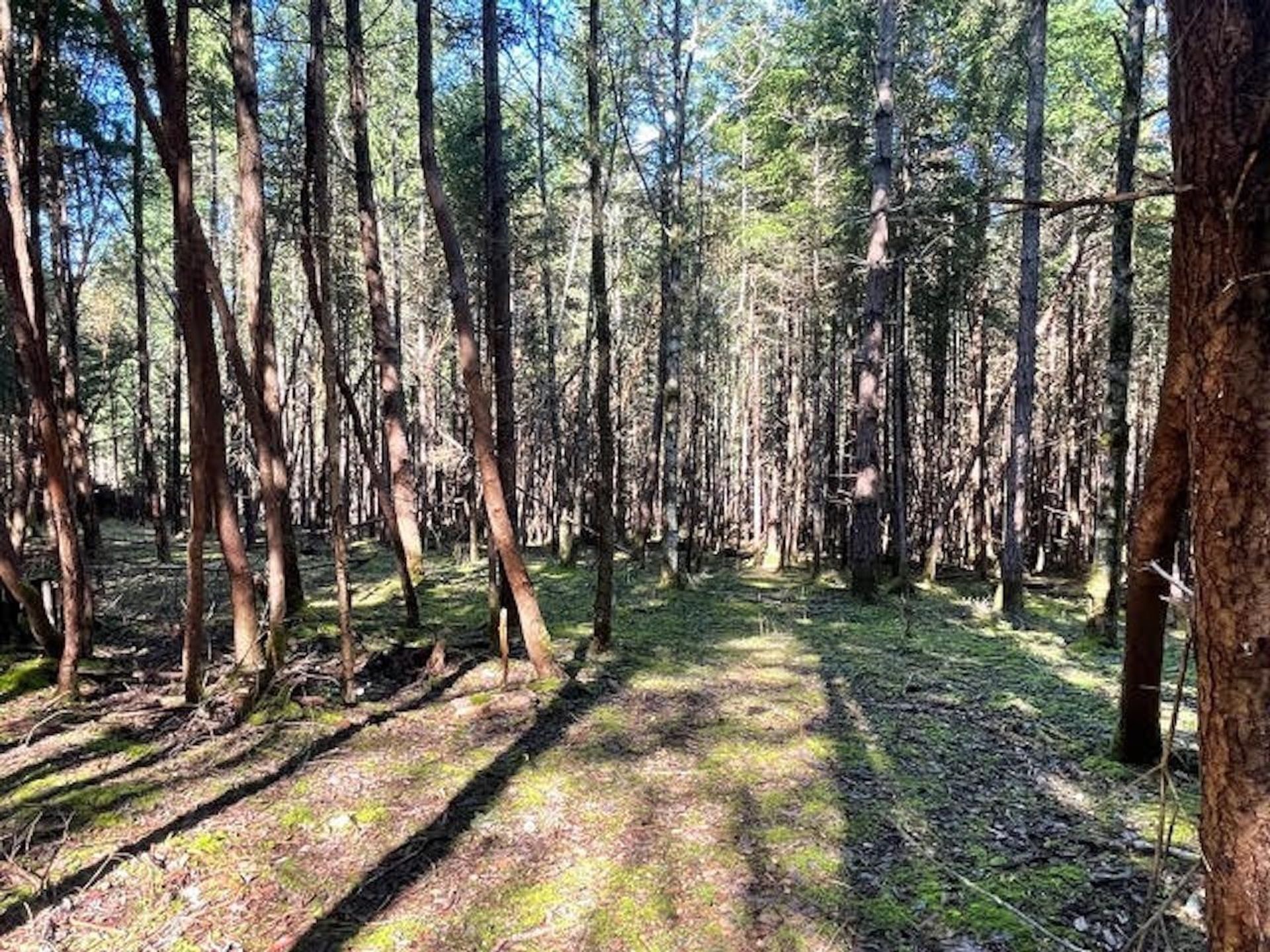 Photo 10 at 1840 Seymour Road, Gabriola Island, Islands-Van. & Gulf Photo 10 at 1840 Seymour Road, Gabriola Island, Islands-Van. & Gulf