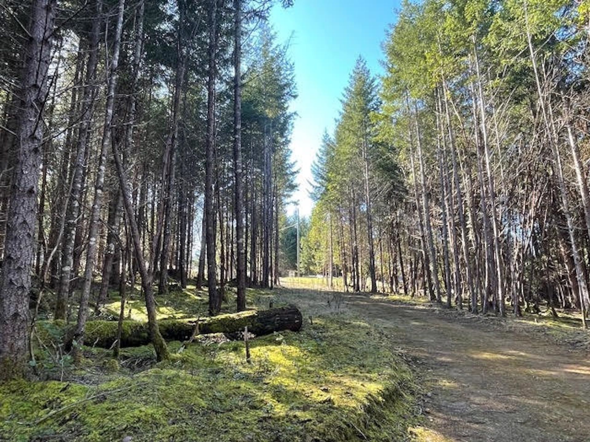 Photo 12 at 1840 Seymour Road, Gabriola Island, Islands-Van. & Gulf Photo 12 at 1840 Seymour Road, Gabriola Island, Islands-Van. & Gulf