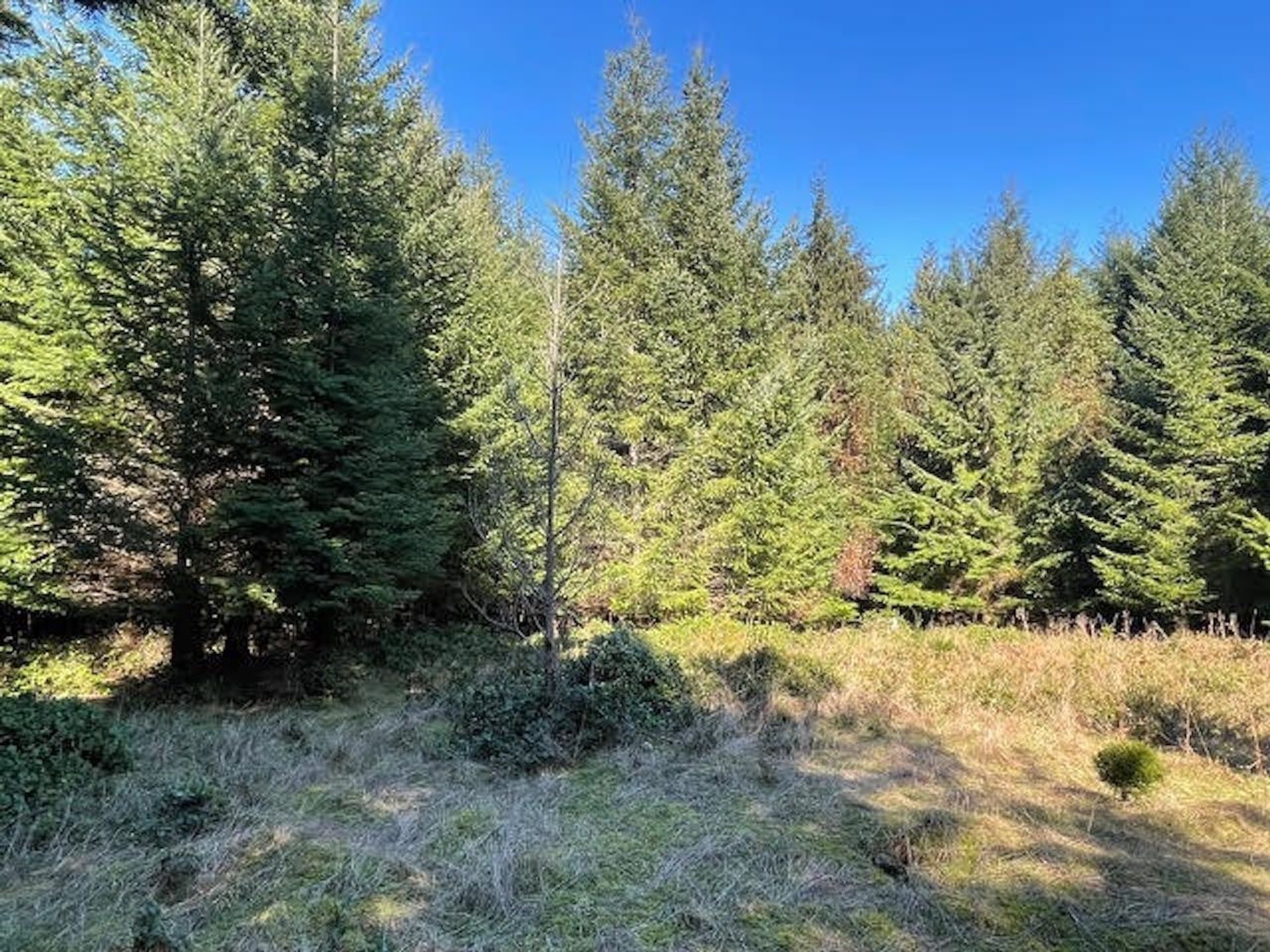 Photo 14 at 1840 Seymour Road, Gabriola Island, Islands-Van. & Gulf Photo 14 at 1840 Seymour Road, Gabriola Island, Islands-Van. & Gulf