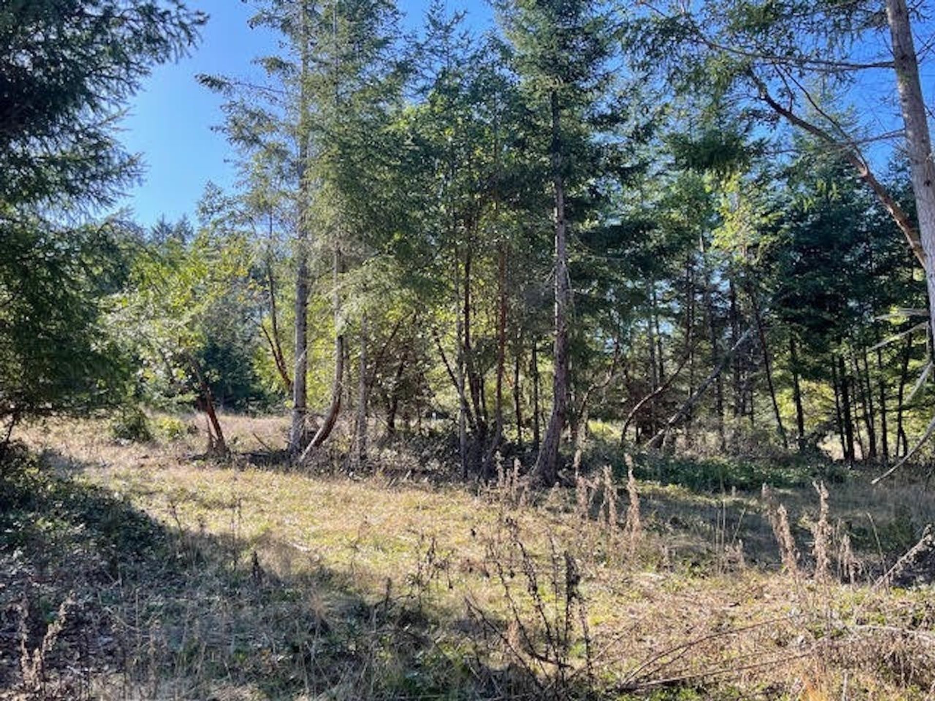 Photo 15 at 1840 Seymour Road, Gabriola Island, Islands-Van. & Gulf Photo 15 at 1840 Seymour Road, Gabriola Island, Islands-Van. & Gulf